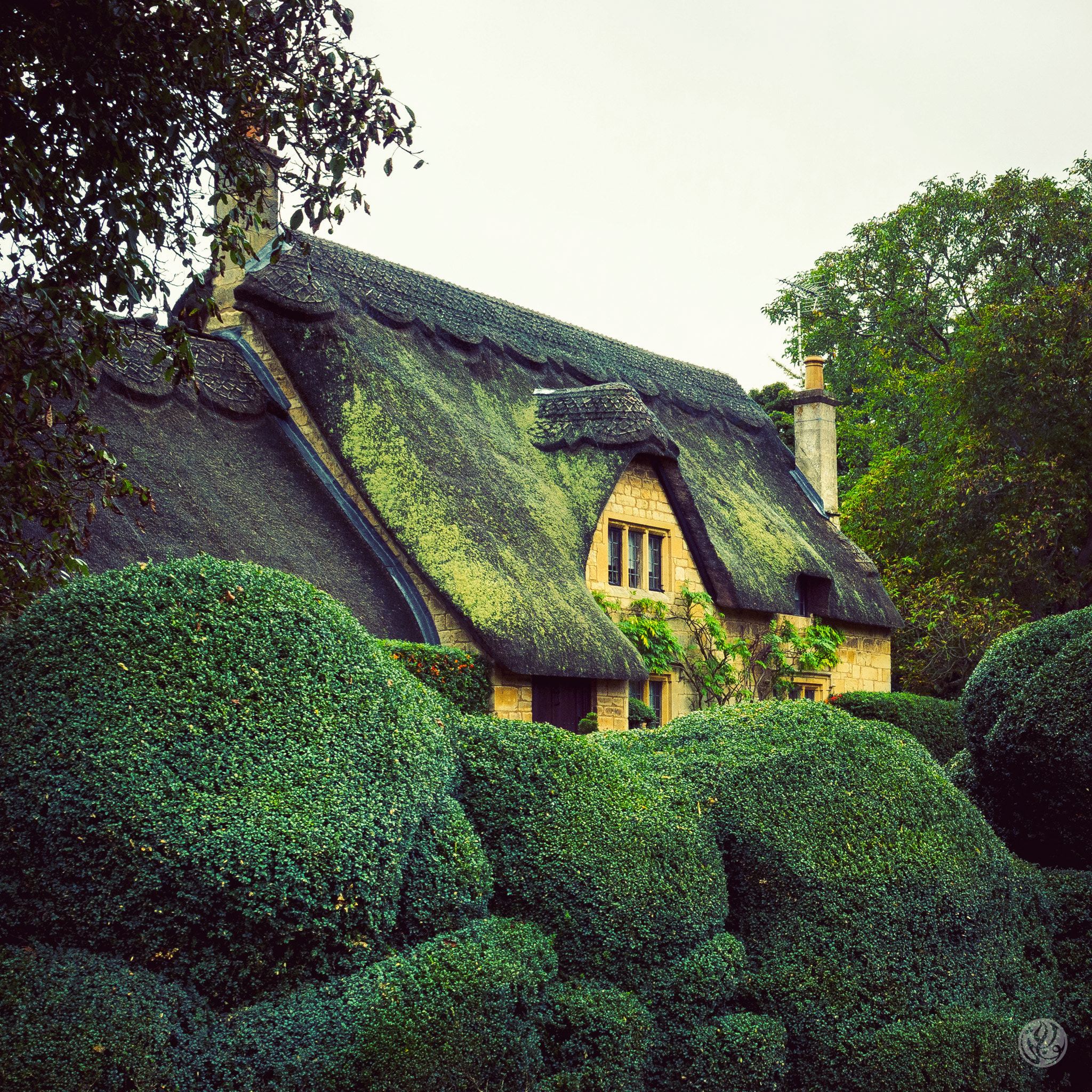 Olympus OM-D E-M10 II sample photo. Fairytale cottage photography