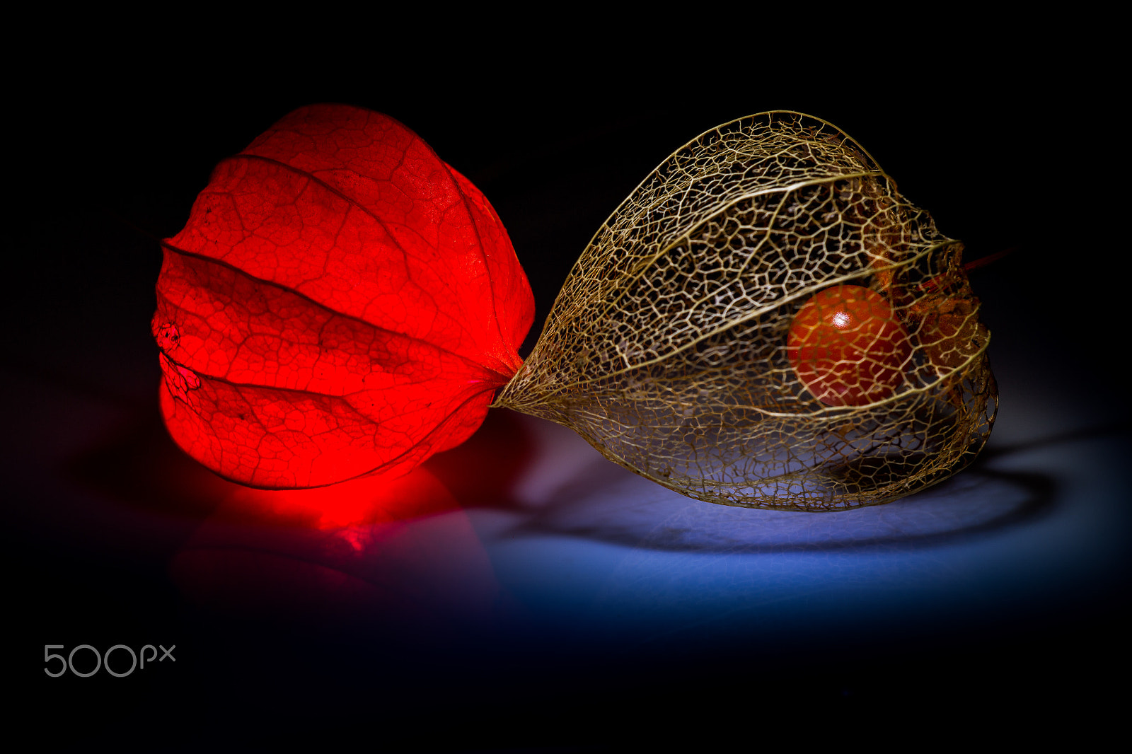 Sigma APO Macro 150mm f/2.8 EX DG HSM sample photo. Before and after photography