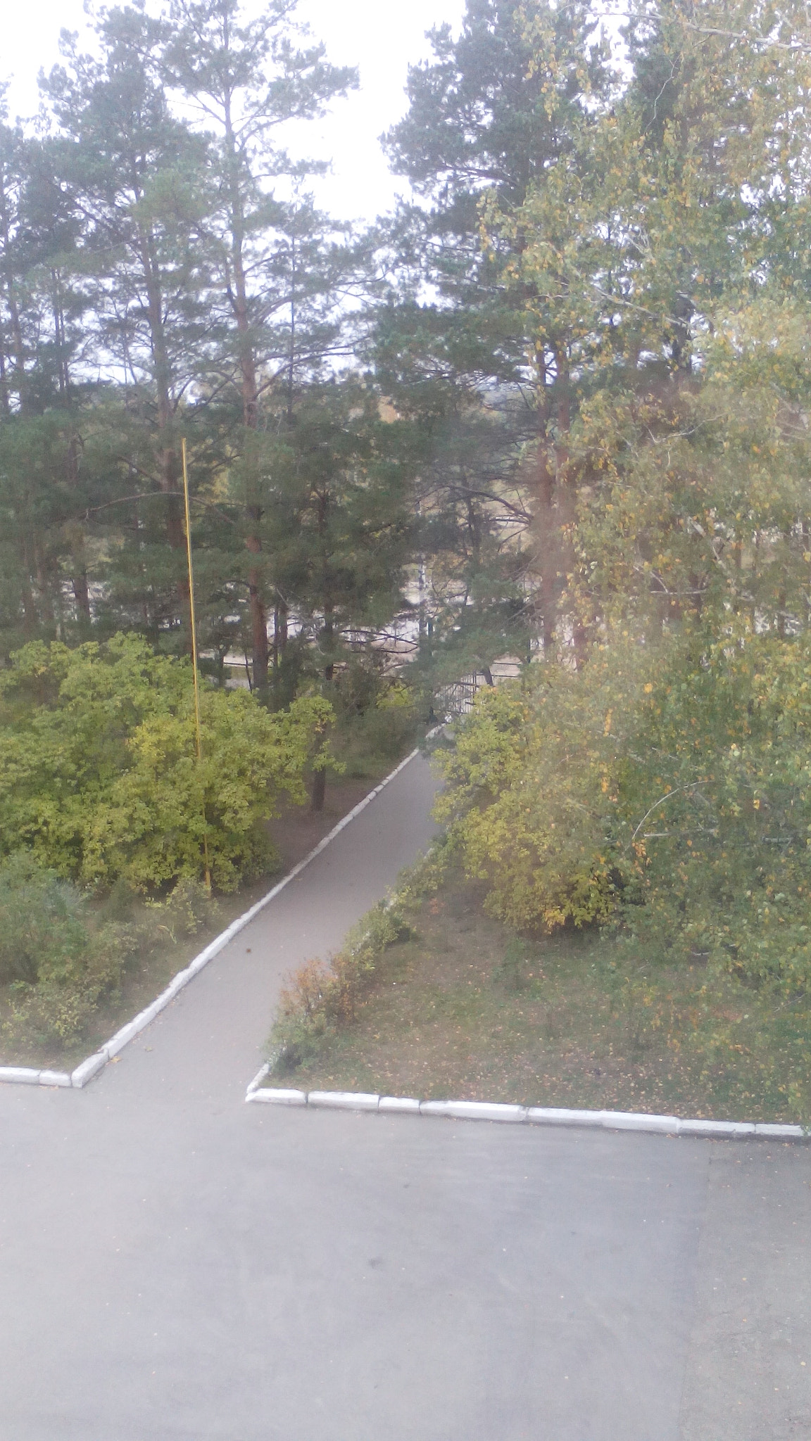 TCT ALCATEL ONE TOUCH 7041D sample photo
