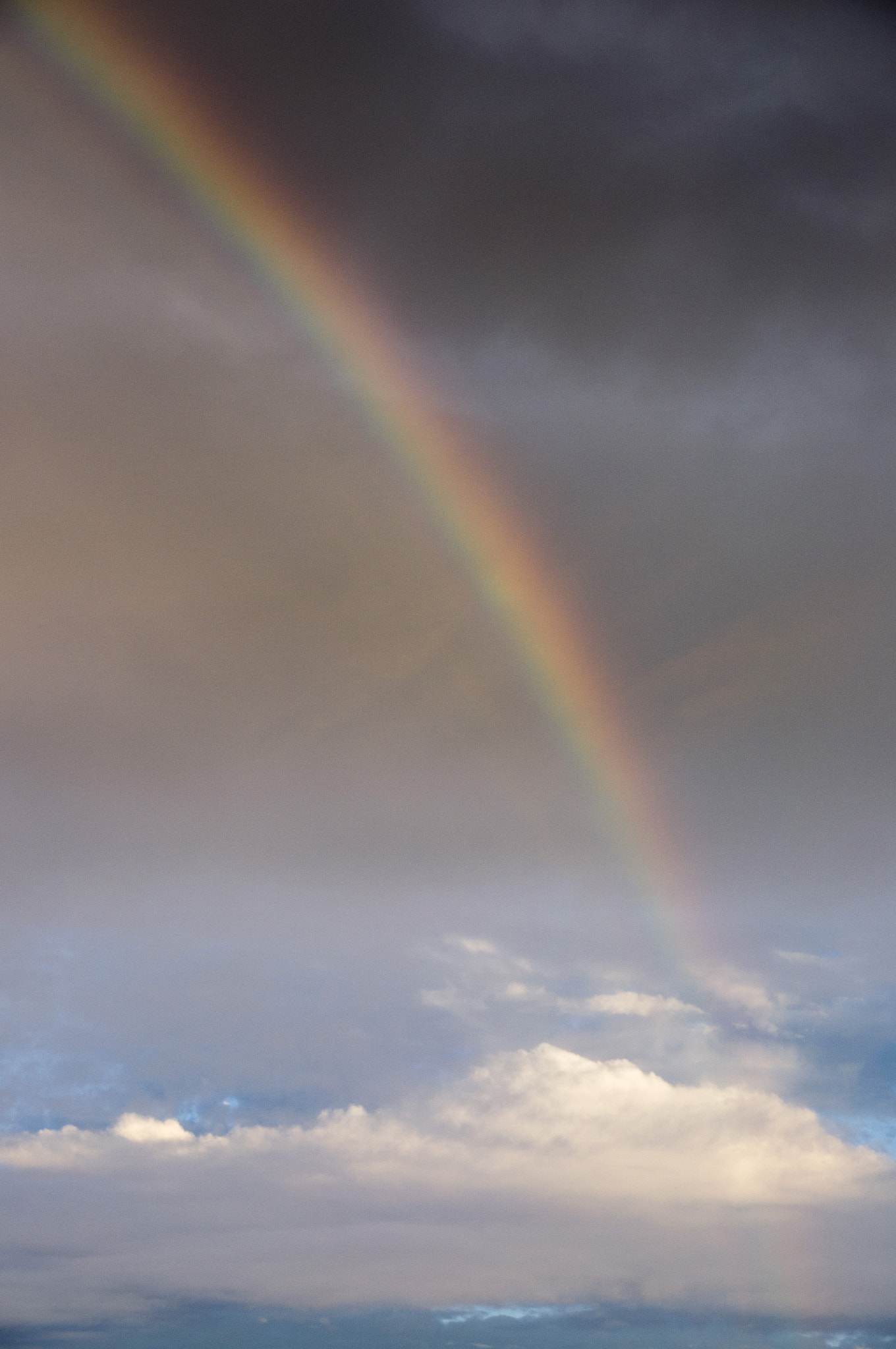 Sigma 17-70mm F2.8-4 DC Macro OS HSM sample photo. Rainbow photography