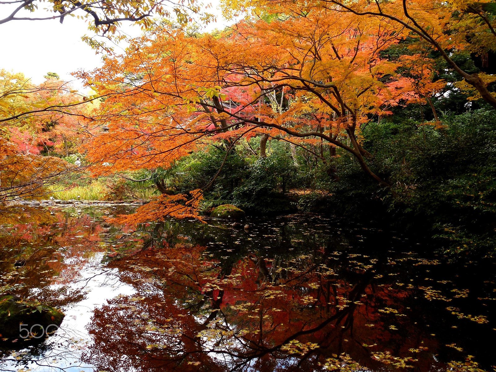 Leica V-Lux 30 / Panasonic Lumix DMC-TZ22 sample photo. Autumn photography