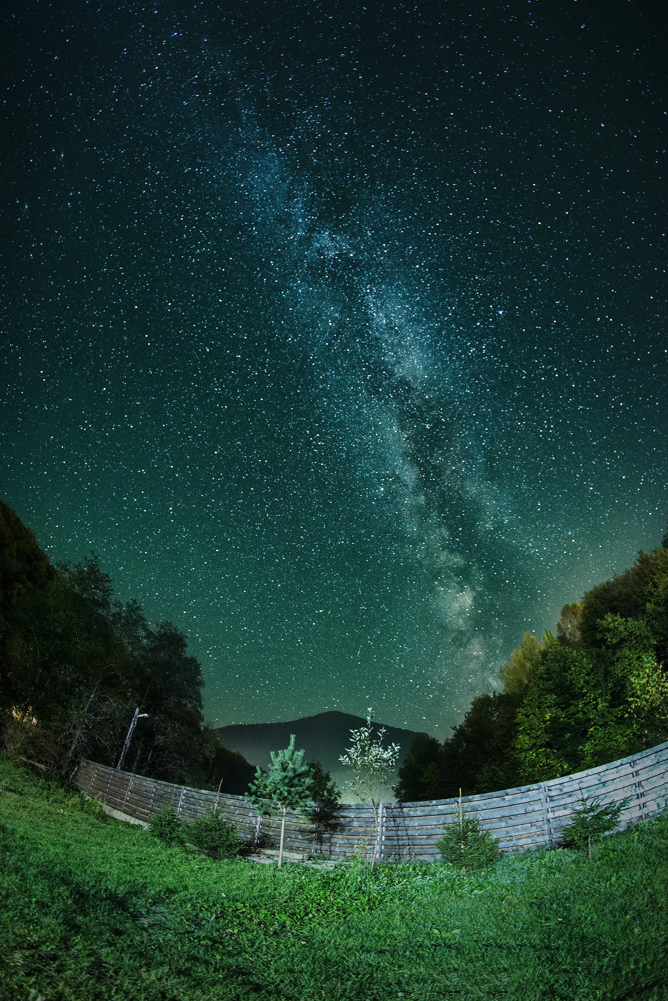 Samyang 12mm F2.8 ED AS NCS Fisheye sample photo. Dsc photography