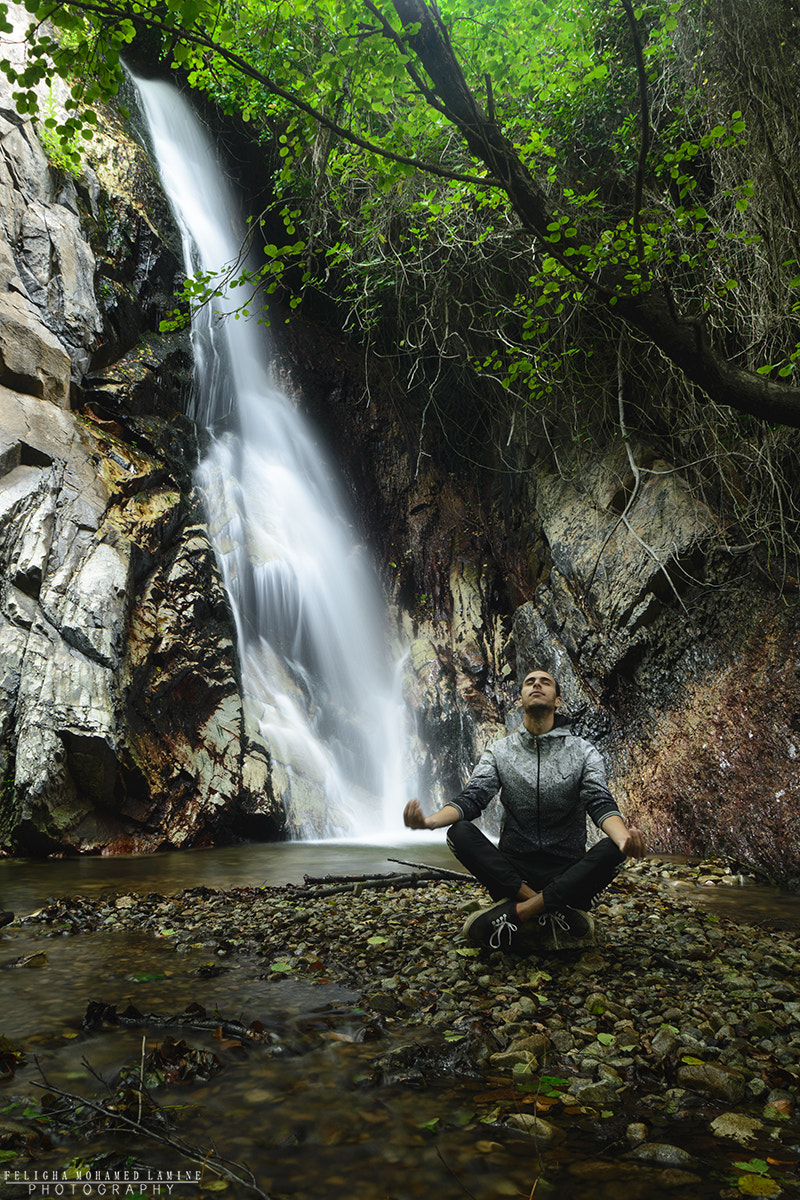 Sigma 18-50mm F2.8-4.5 DC OS HSM sample photo. Watterfall photography