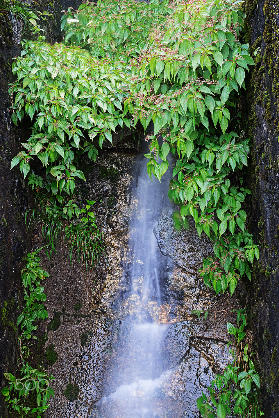 Sony Alpha a99 sample photo. The green fountain photography