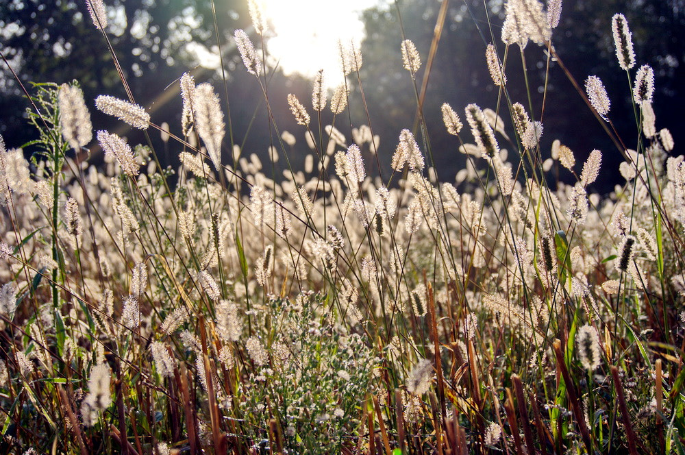 Sony Alpha NEX-6 + Sony E 18-50mm F4-5.6 sample photo. Eurotrip photography