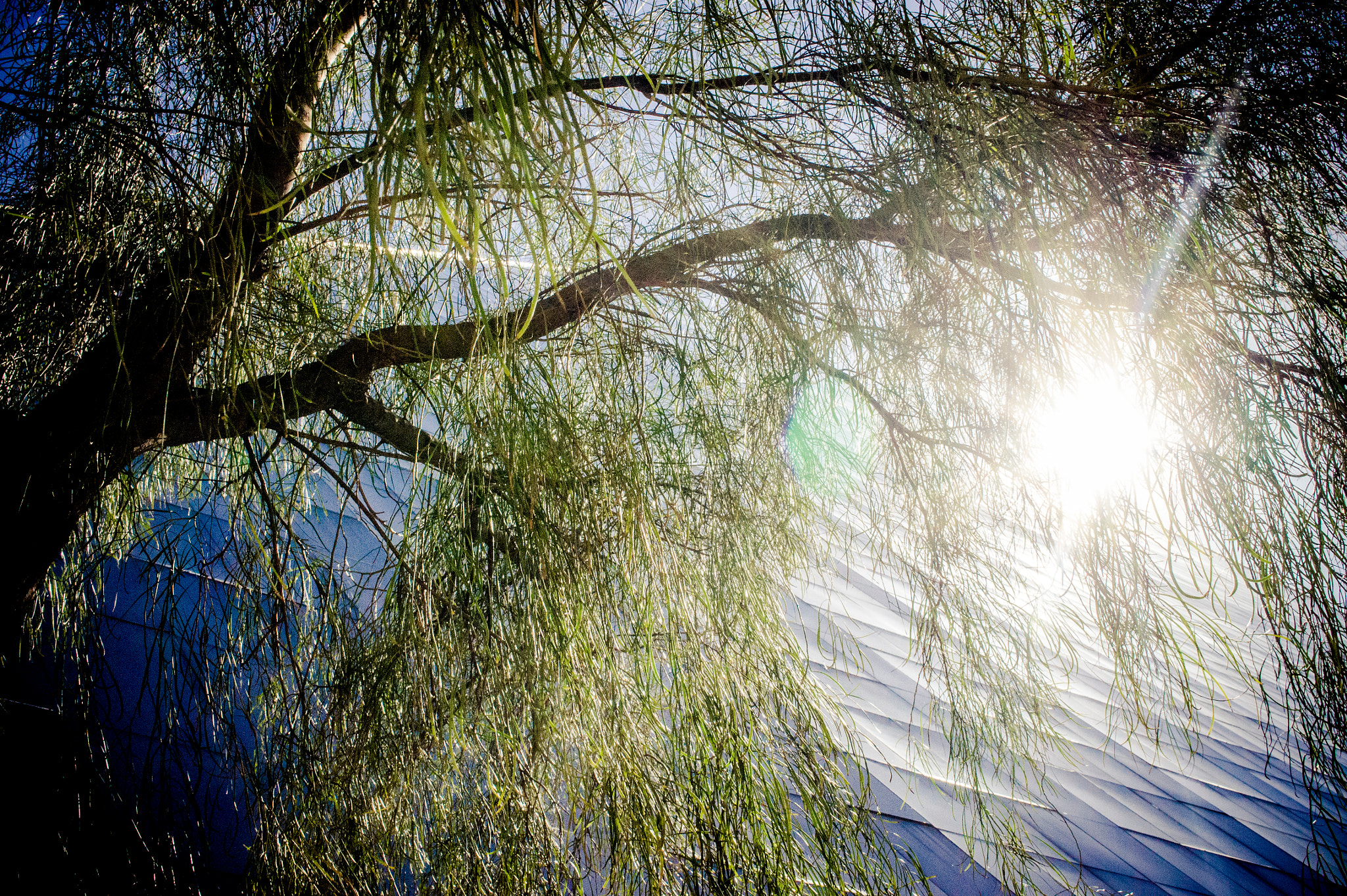 Sony Alpha NEX-3 sample photo. Luxor reflections photography