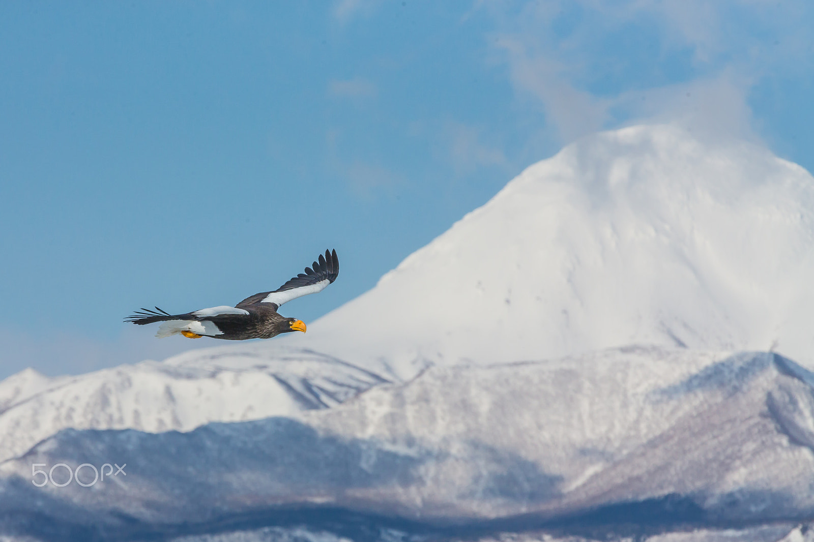 Canon EOS-1D X sample photo. Flying in the mt. rausudake photography