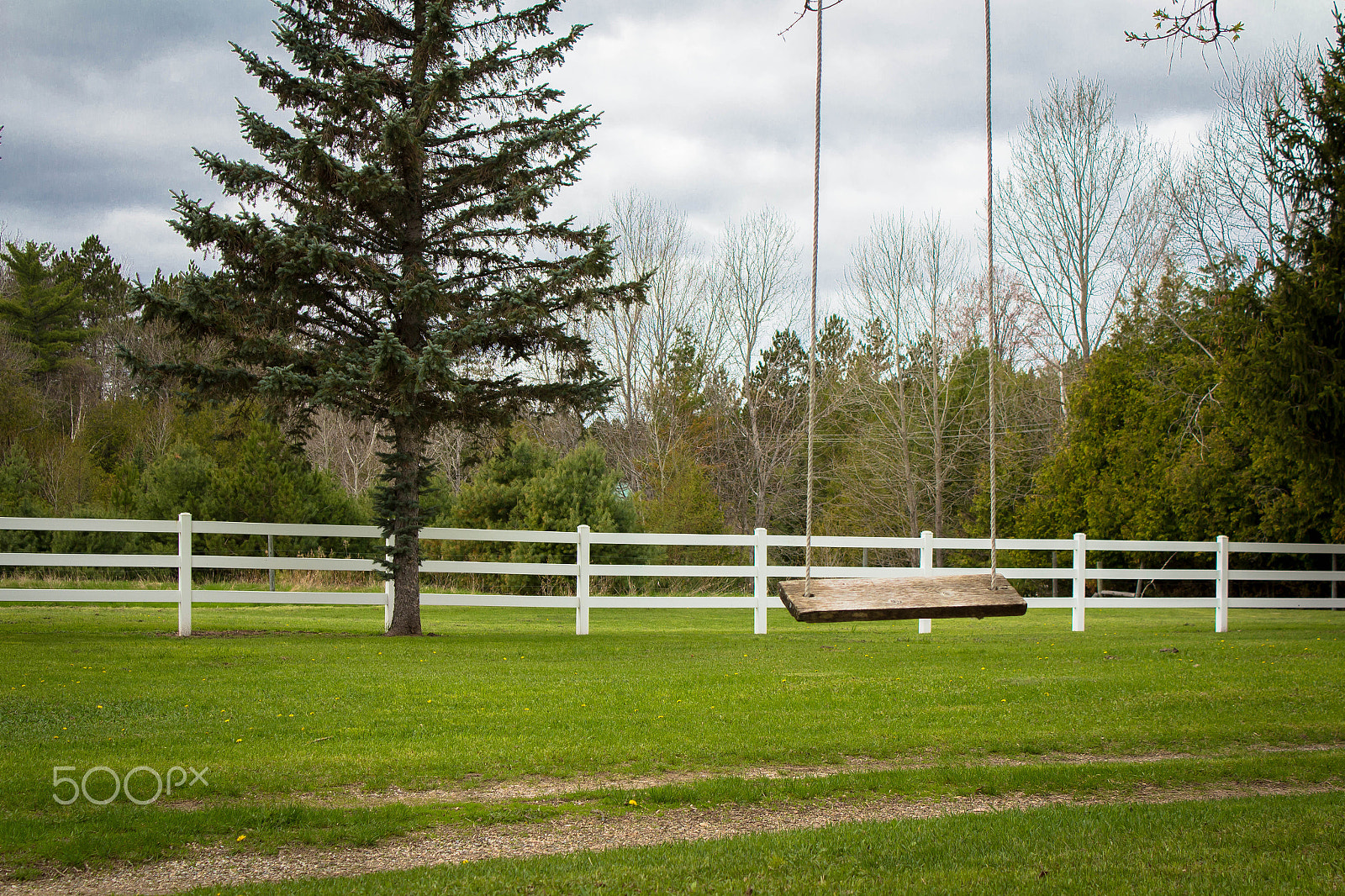 Canon EOS 700D (EOS Rebel T5i / EOS Kiss X7i) sample photo. No butts photography