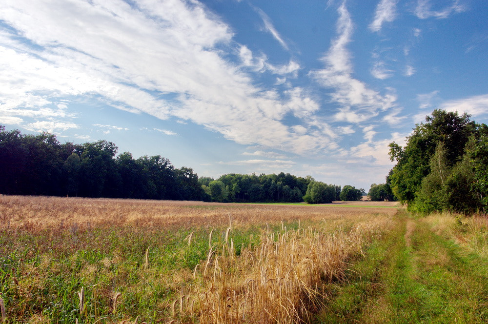 Sony Alpha NEX-6 + Sigma 19mm F2.8 EX DN sample photo. Eurotrip photography