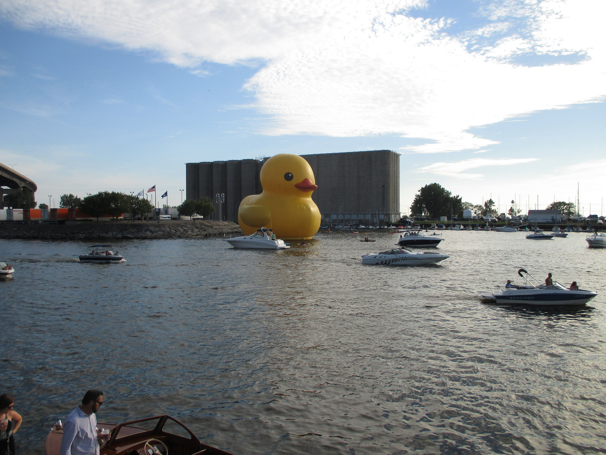 Canon PowerShot ELPH 135 (IXUS 145 / IXY 120) sample photo. Duck surrounded by boats 20160827 photography