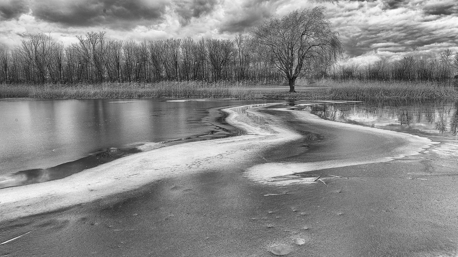 Nikon D800E sample photo. Noir photography