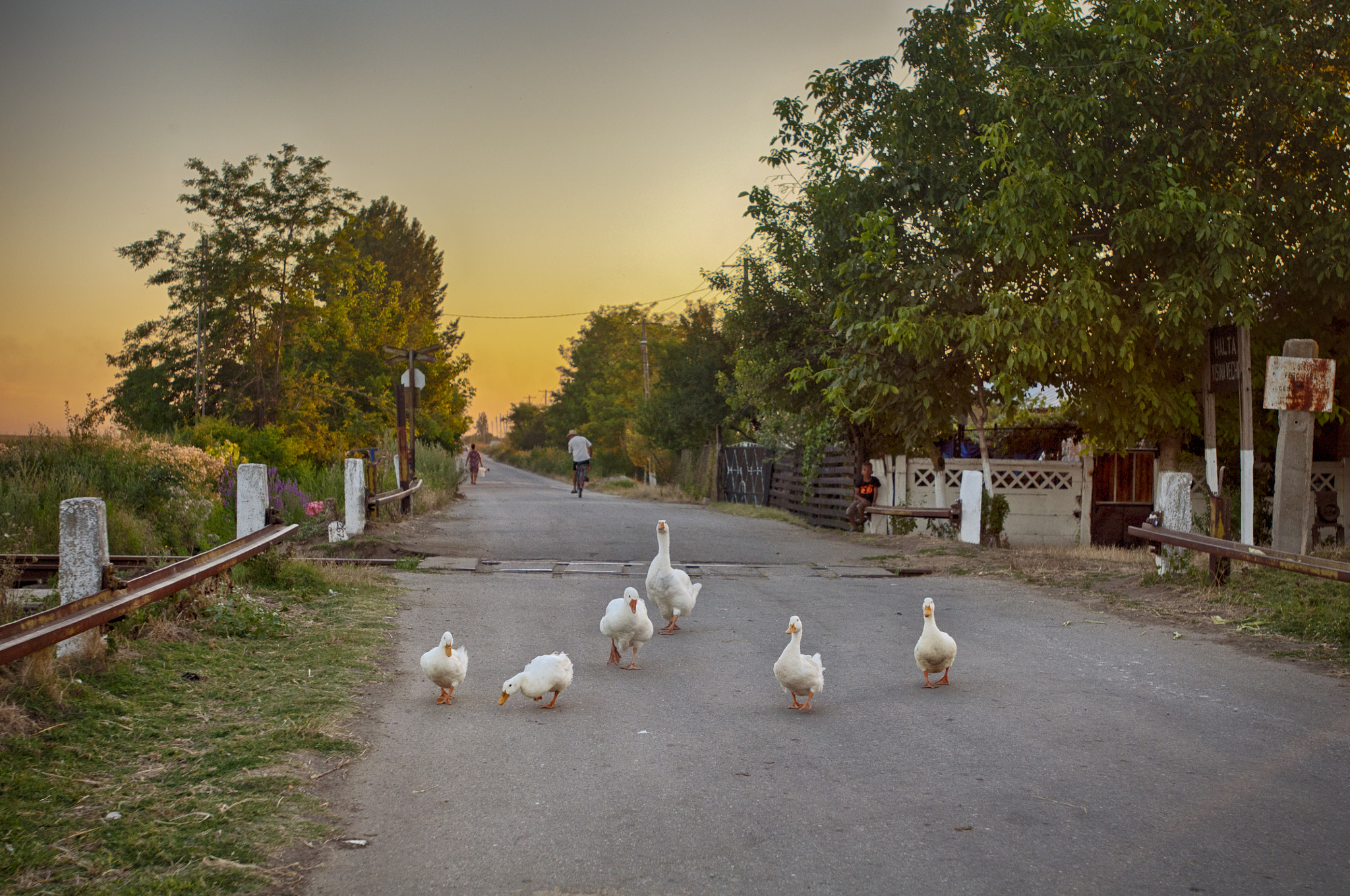 Nikon AF-S Nikkor 17-35mm F2.8D ED-IF sample photo. Countryside scene. photography
