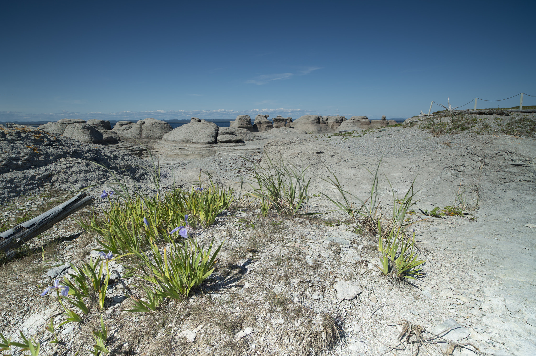 Nikon D4S sample photo. Sans titre photography