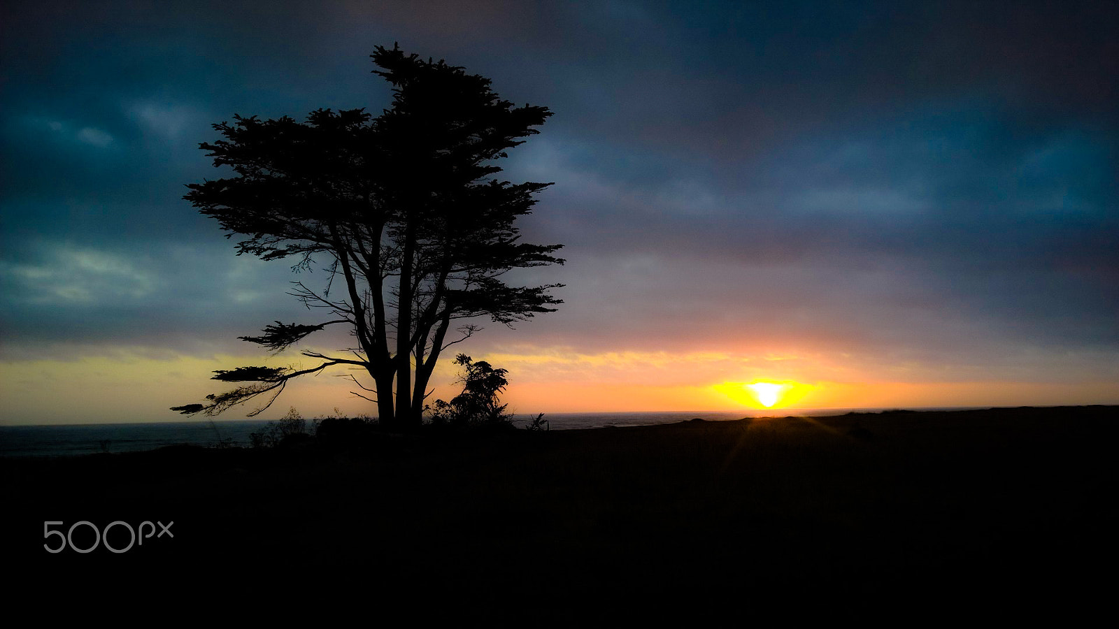Nokia Lumia 929 sample photo. Sunset tree photography