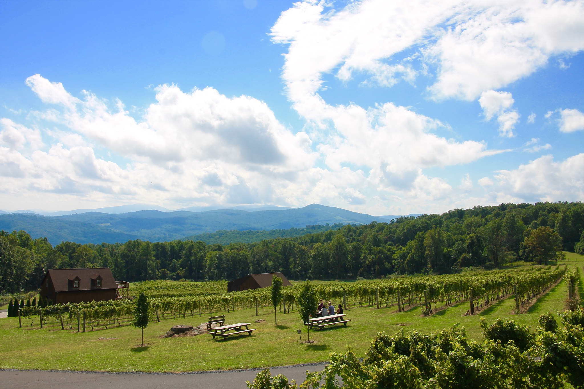 Canon EOS 1100D (EOS Rebel T3 / EOS Kiss X50) sample photo. Fox meadow winery photography