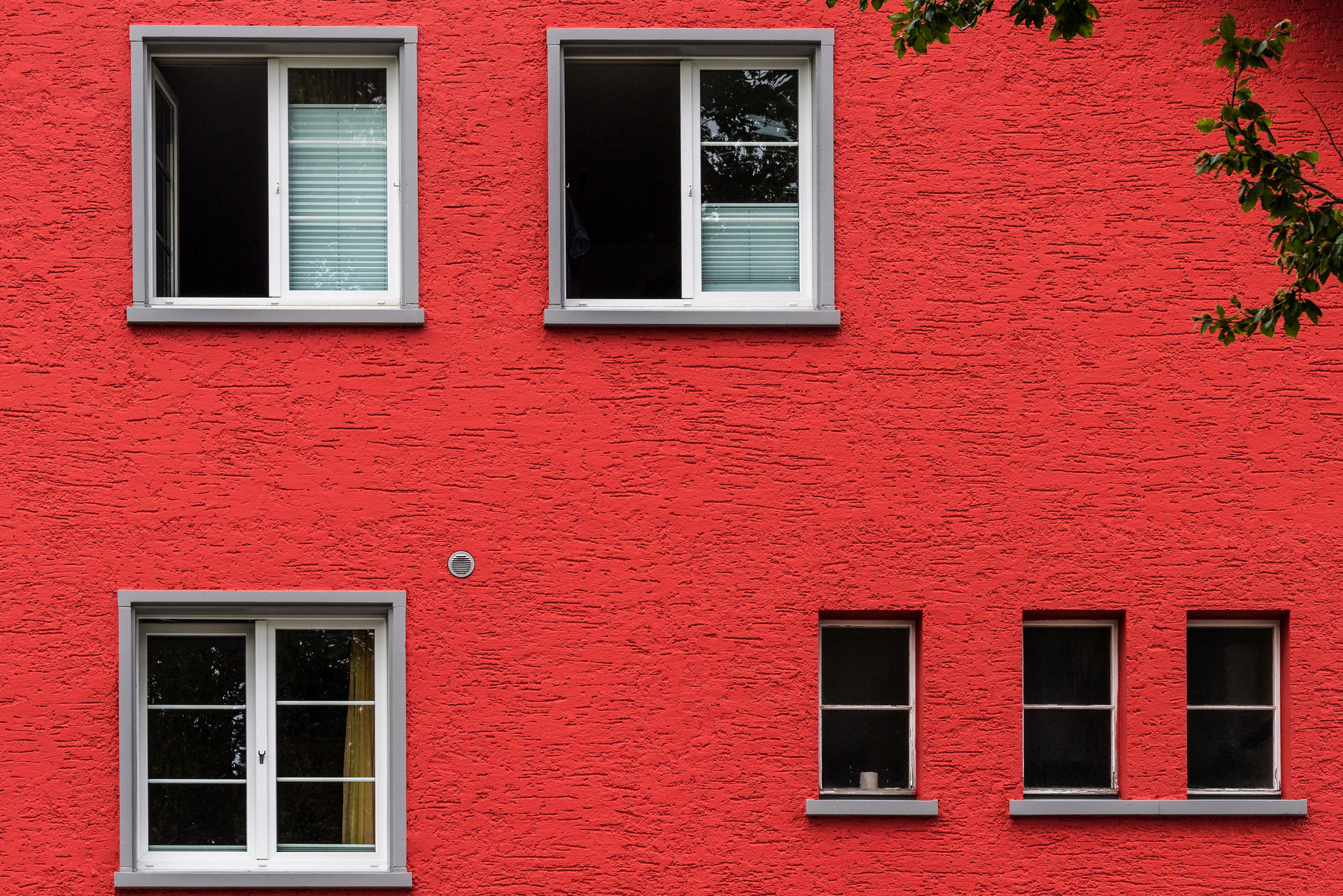 Nikon D5 sample photo. Redish photography