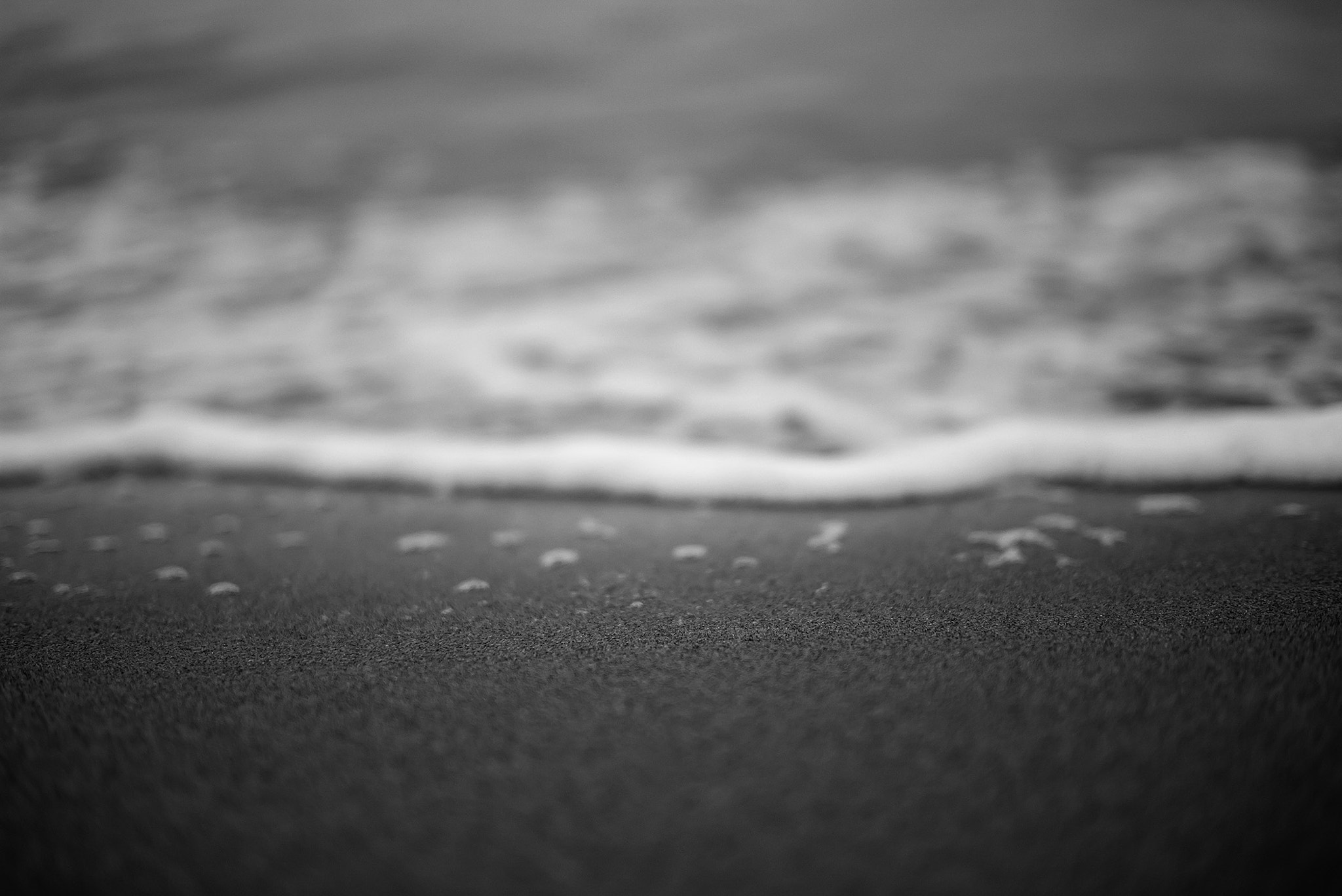 Elmarit-M 1:2.8/24 ASPH. sample photo. Let it go. photography