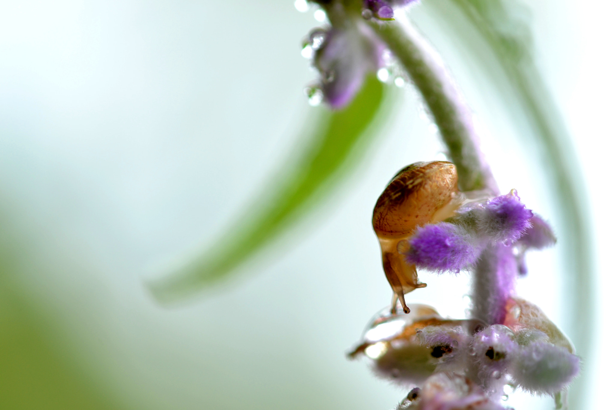 Sigma 105mm F2.8 EX DG OS HSM sample photo. Too far... photography
