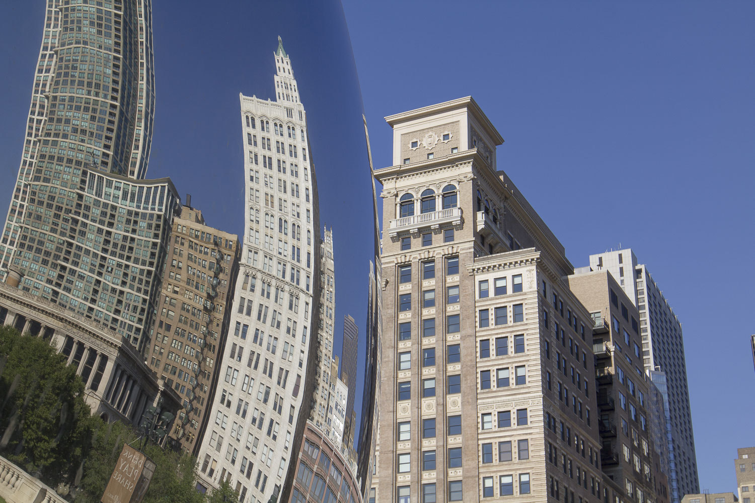 Canon EF 16-35mm F2.8L II USM sample photo. The bean photography