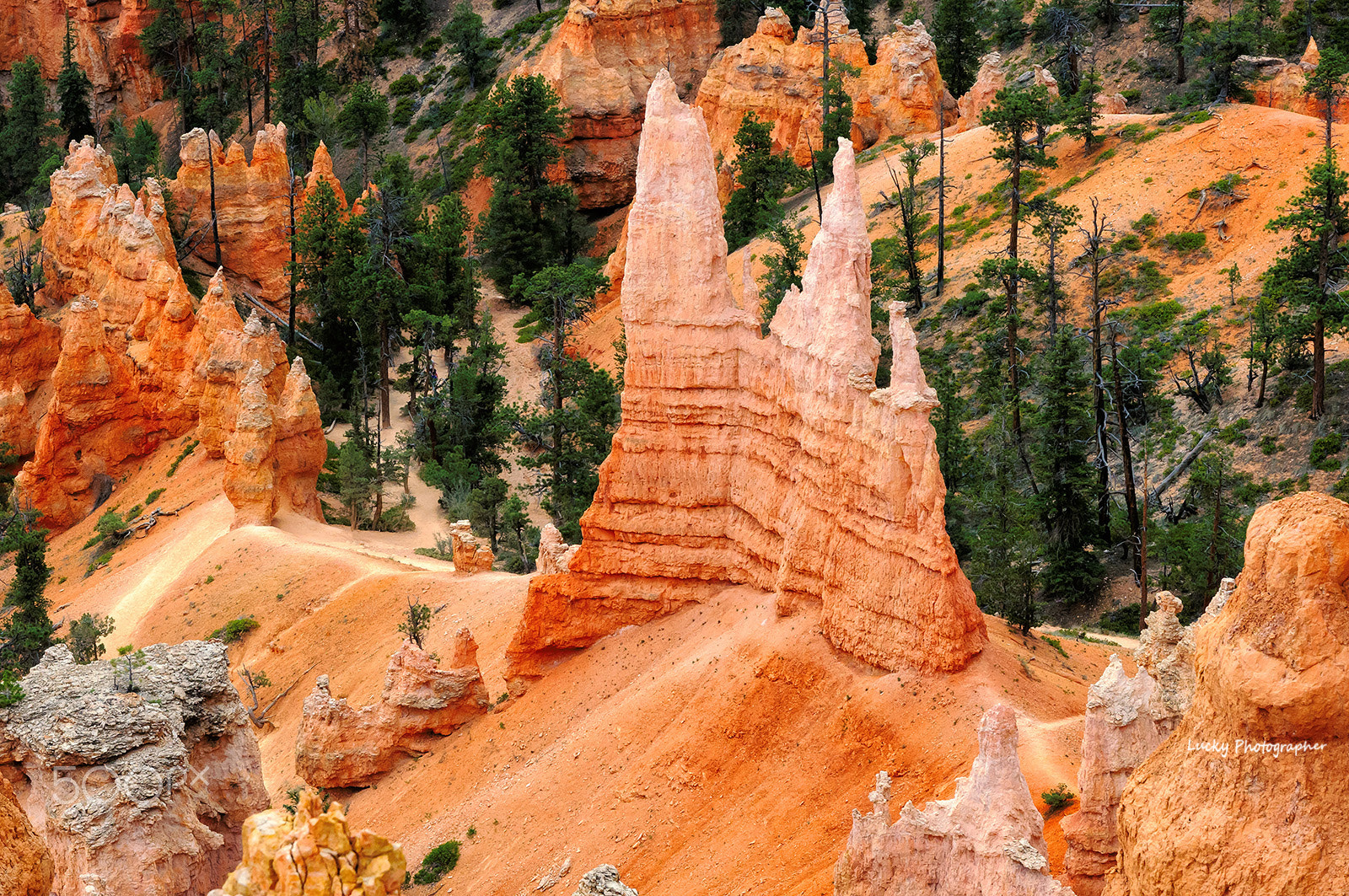 Nikon AF-S Nikkor 24-120mm F4G ED VR sample photo. Bryce canyon photography