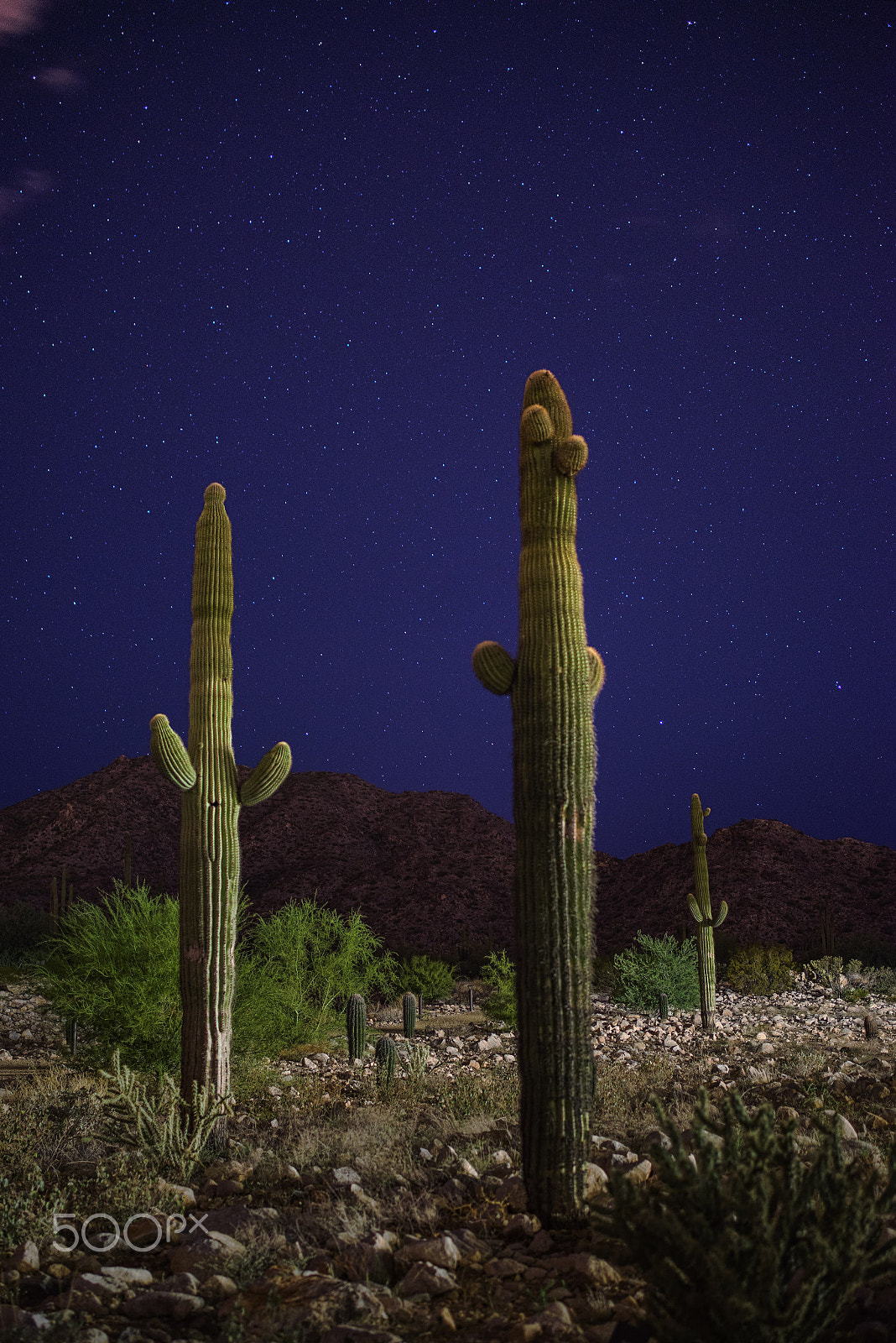 Pentax K-1 + Pentax smc DA 35mm F2.4 AL sample photo. Saguaro night photography