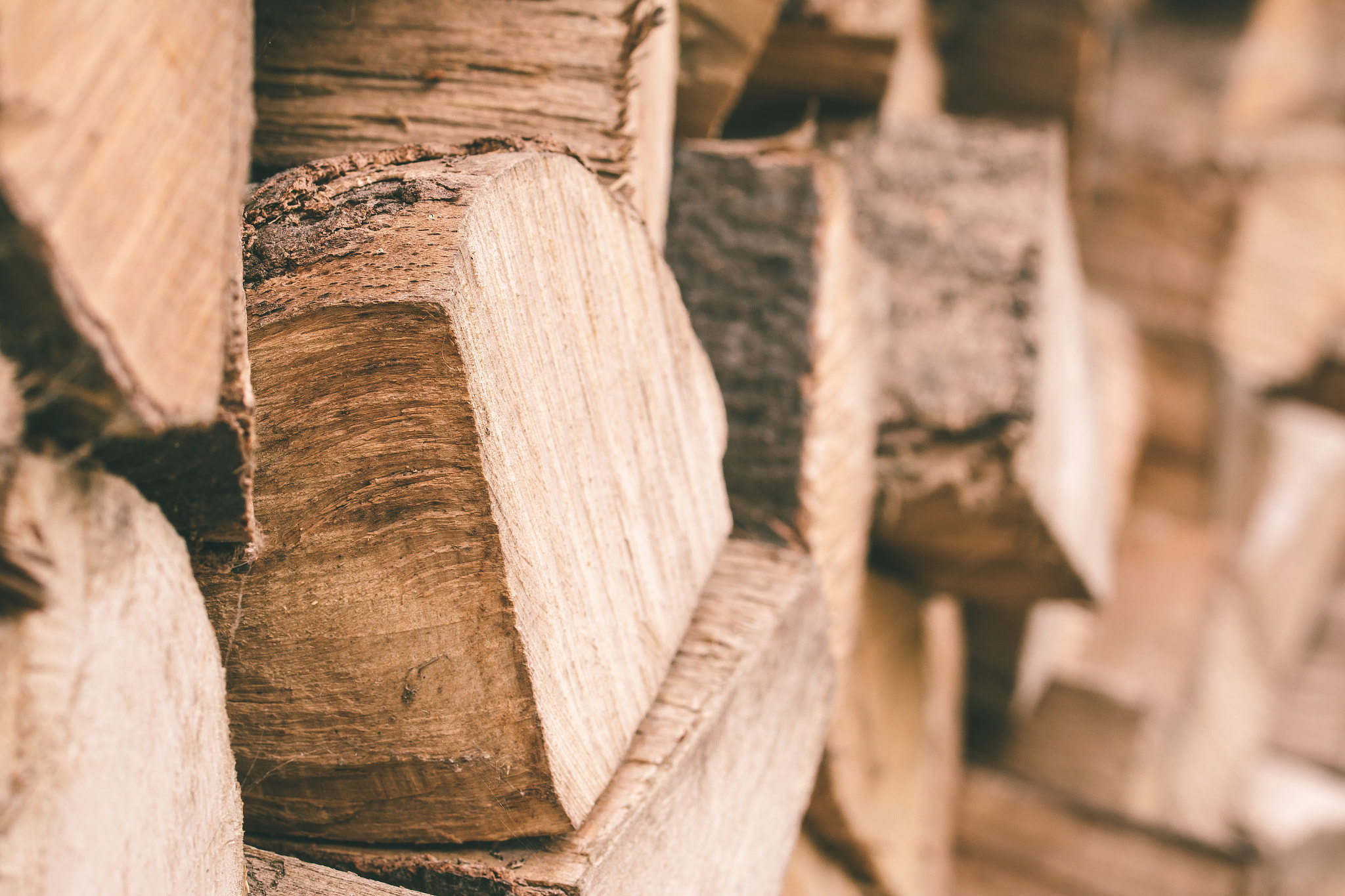 Canon EOS 70D + Canon EF 100mm F2.8L Macro IS USM sample photo. Firewood photography