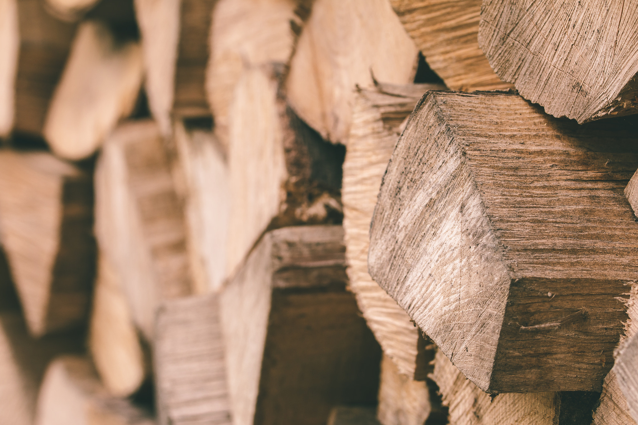 Canon EOS 70D + Canon EF 100mm F2.8L Macro IS USM sample photo. Firewood photography
