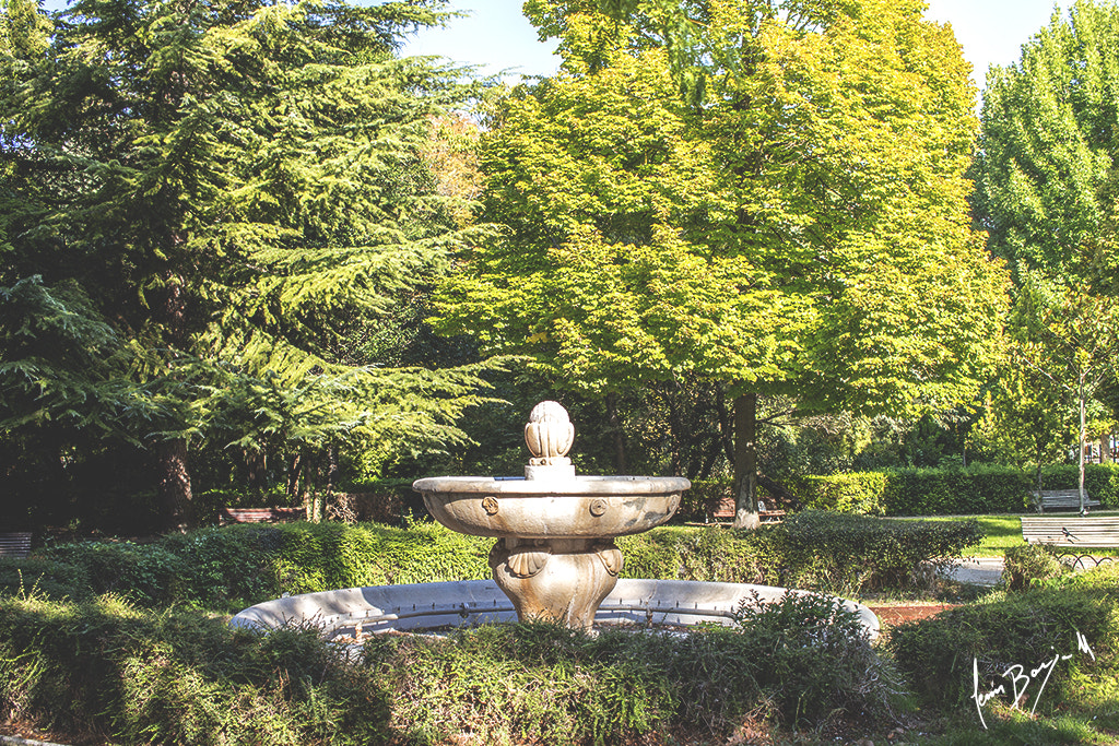 Canon EF-S 24mm F2.8 STM sample photo. Font photography
