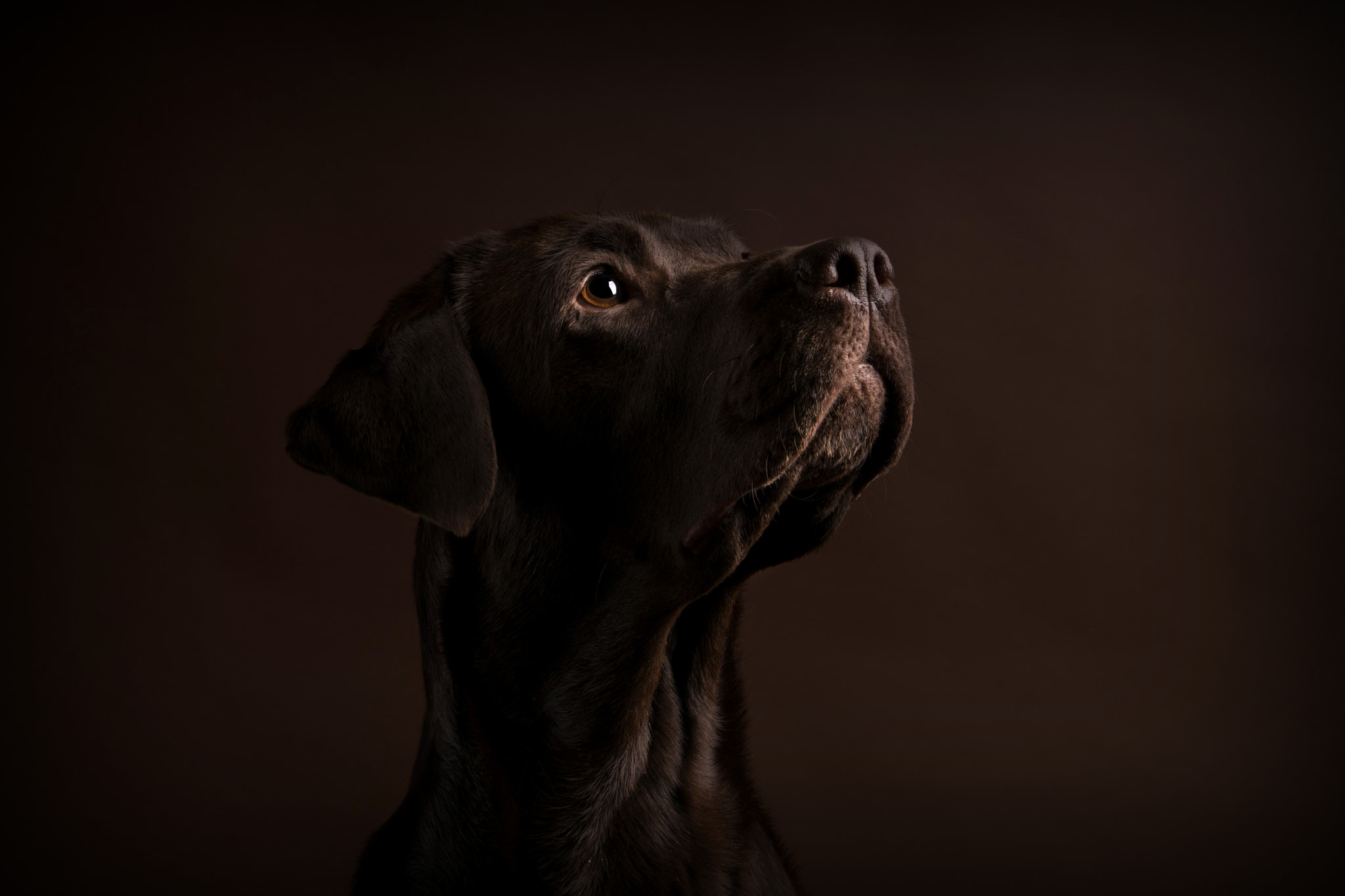 Sony ILCA-77M2 sample photo. Nochmal hanna  :-) photography