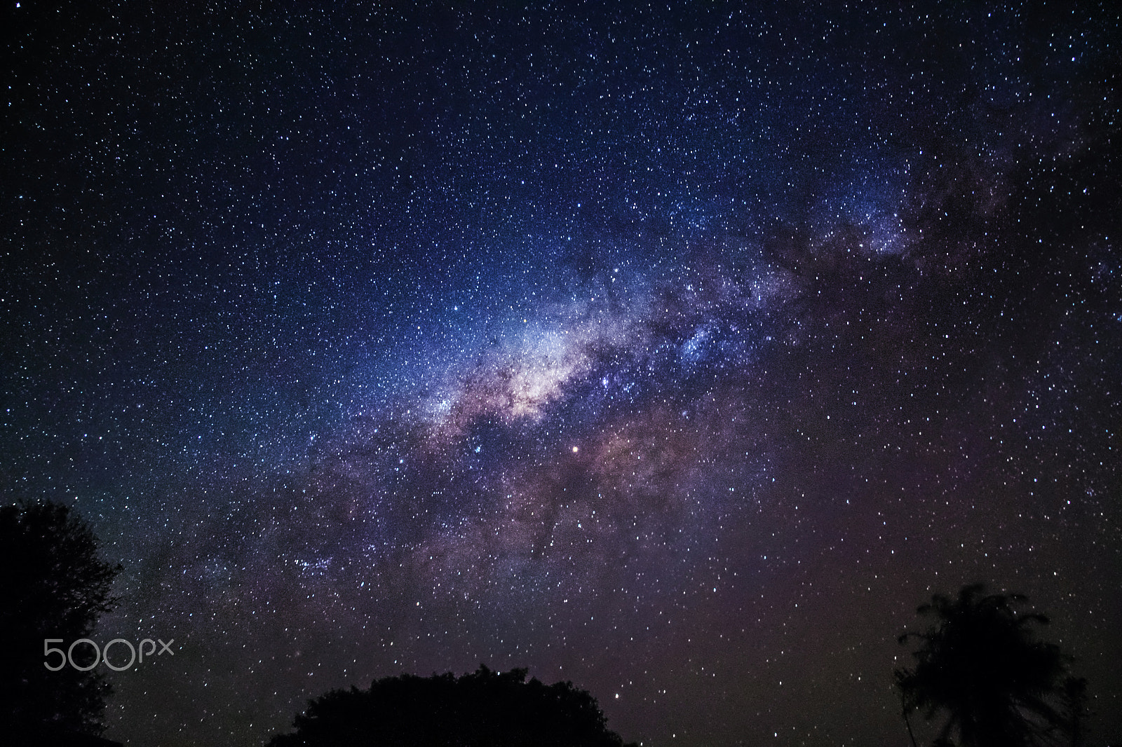 Nikon D750 sample photo. Stars over central pantanal. photography