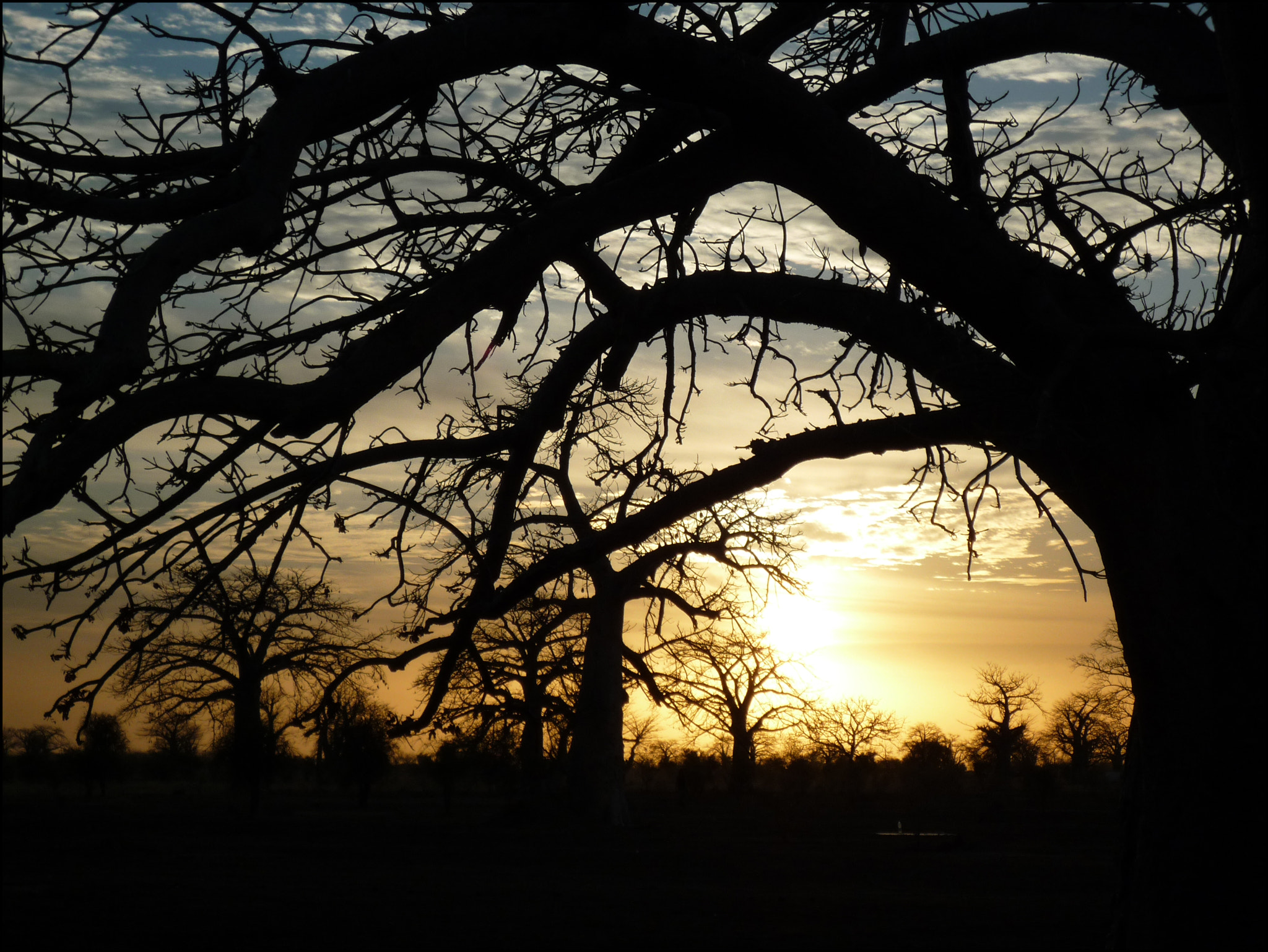 Panasonic DMC-FX500 sample photo. Africa photography