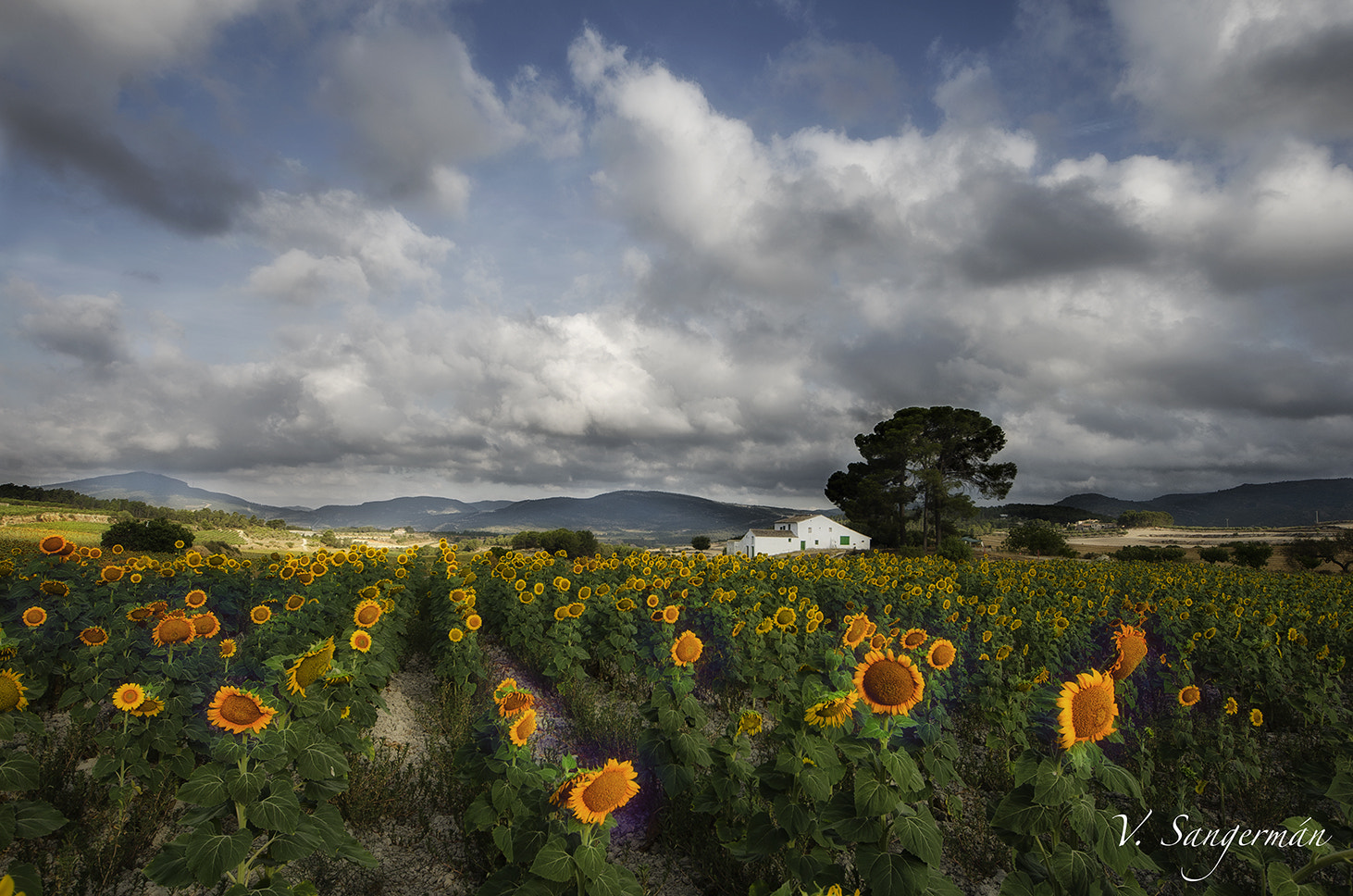 Sigma 8-16mm F4.5-5.6 DC HSM sample photo. Fontanars photography