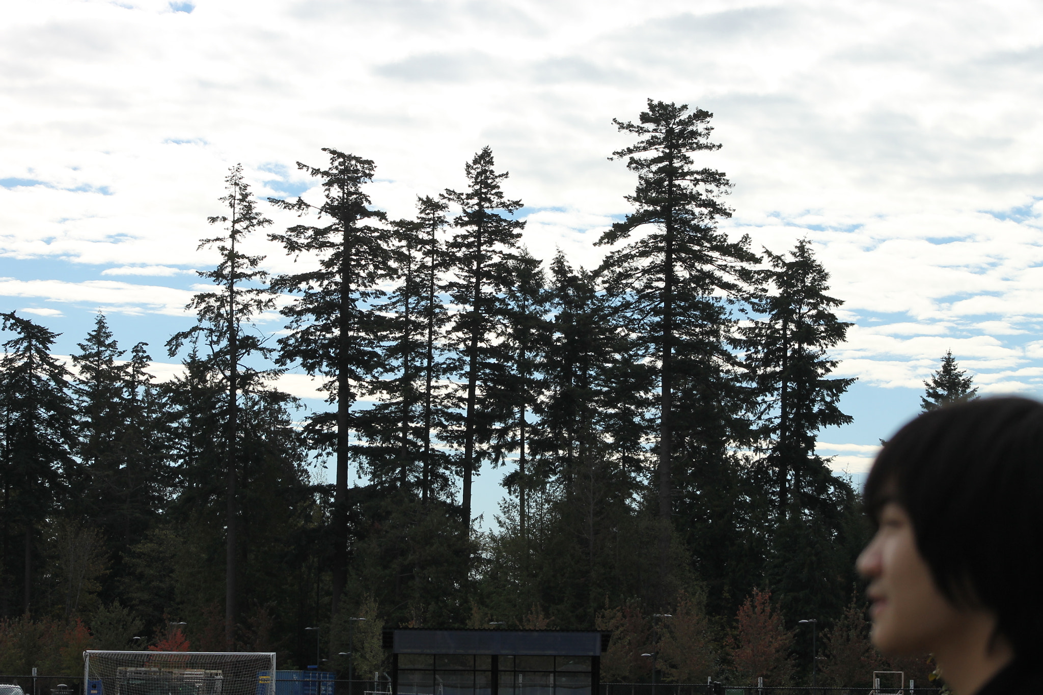 Canon EF 75-300mm f/4-5.6 USM sample photo. Img photography