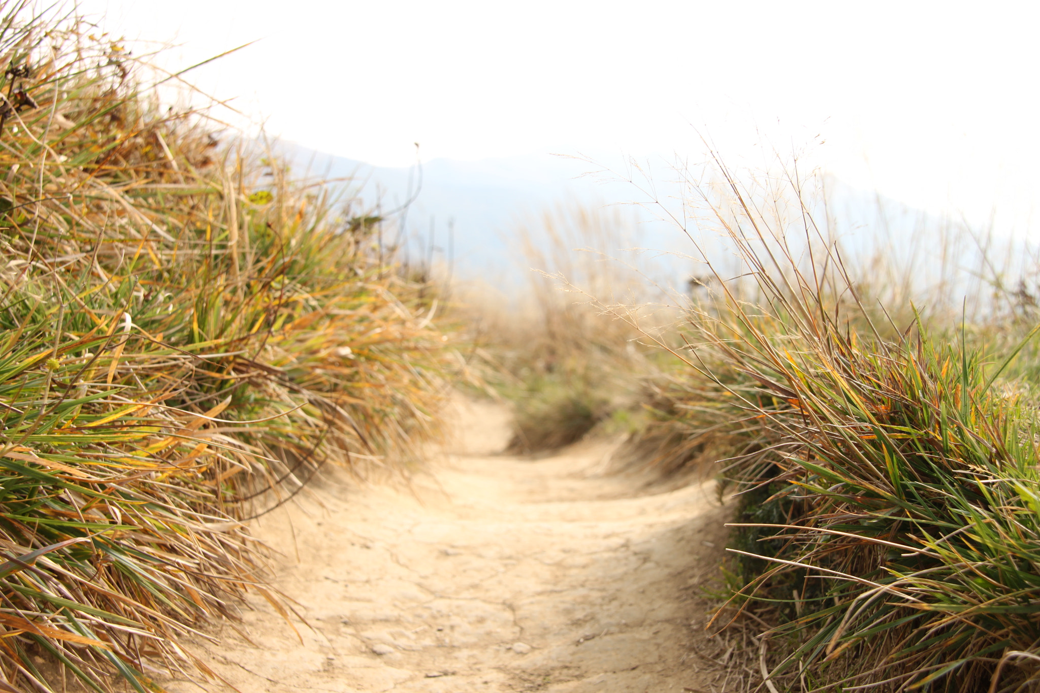 Sigma 18-200mm f/3.5-6.3 DC OS sample photo. Hiking trail photography