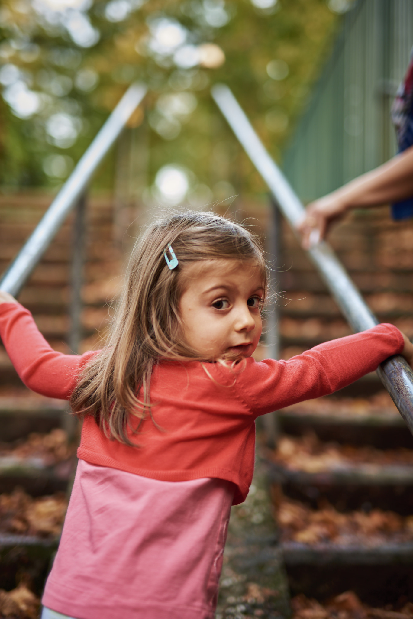 Sigma 50mm F1.4 DG HSM Art sample photo. Beautifull bokeh photography