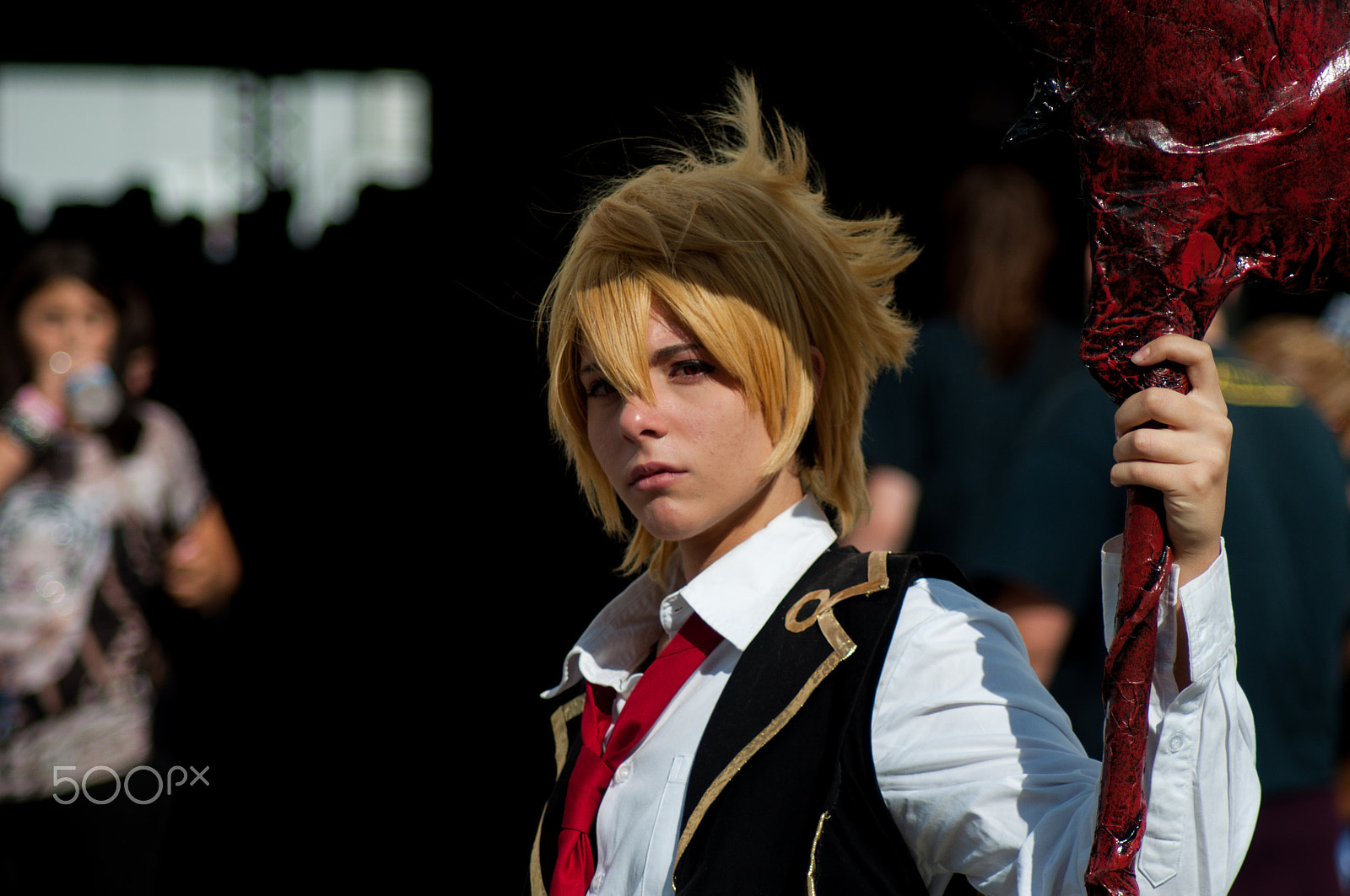 Nikon D5000 sample photo. Ready for battle. photography
