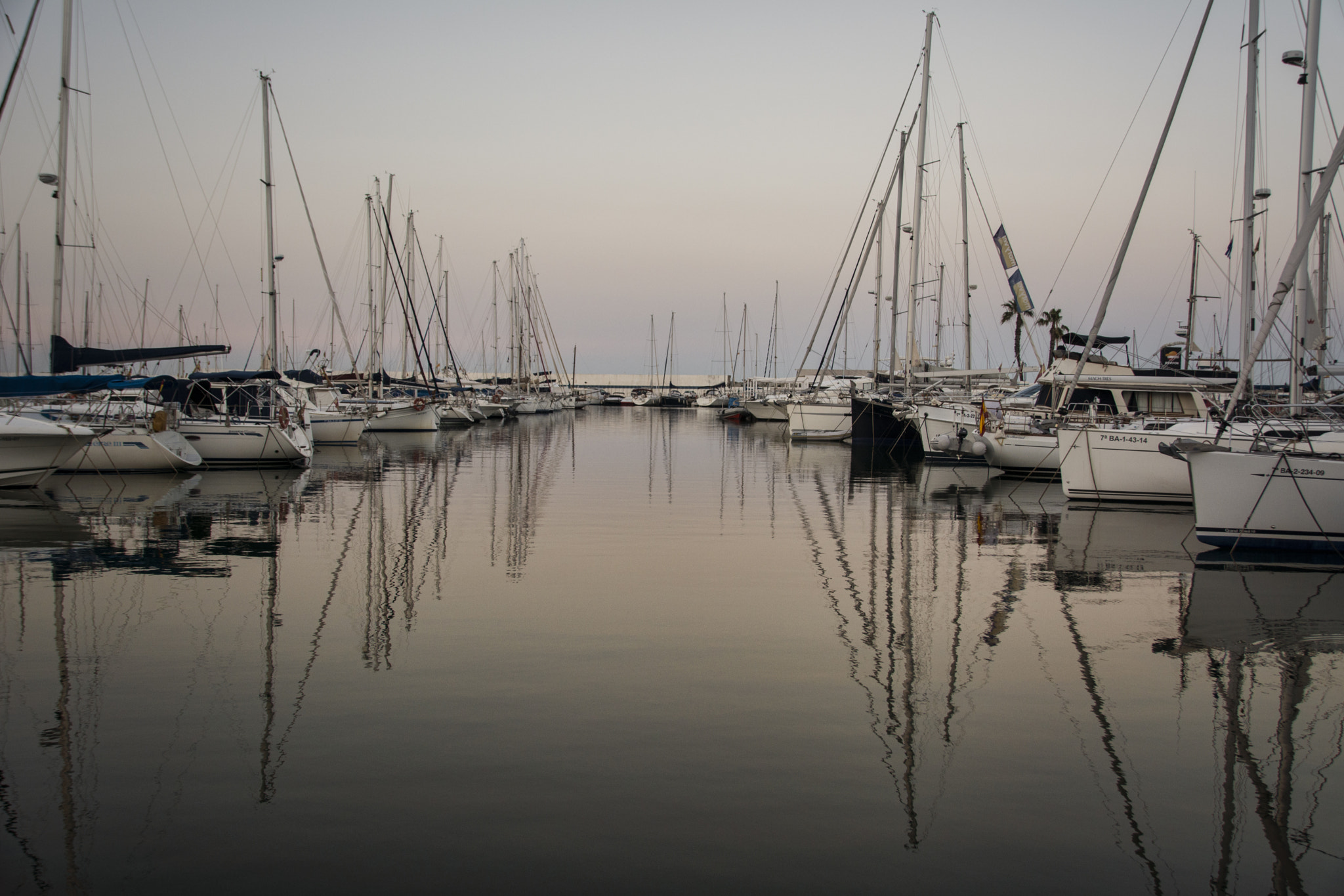 Nikon D7100 + Sigma 18-200mm F3.5-6.3 II DC OS HSM sample photo. Mataro-españa photography