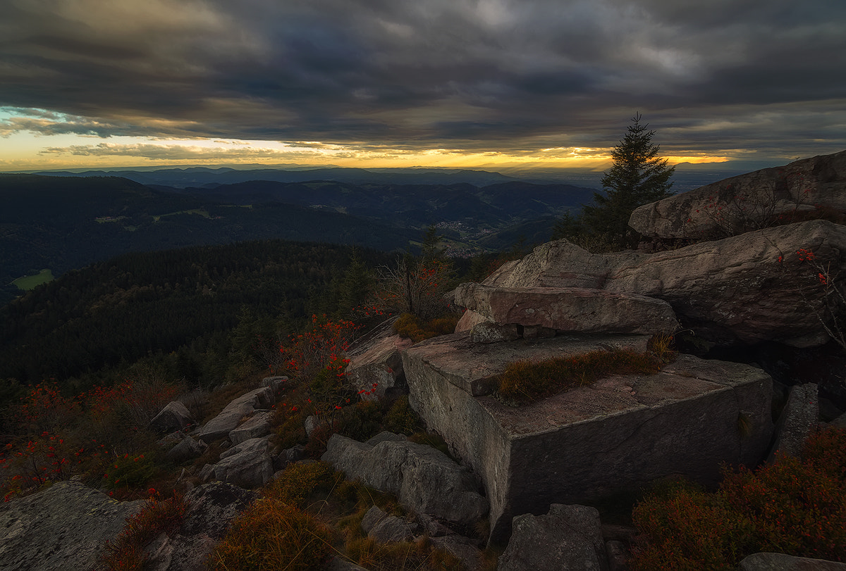 Sony a7R + 20mm F2.8 sample photo. Wild stones photography