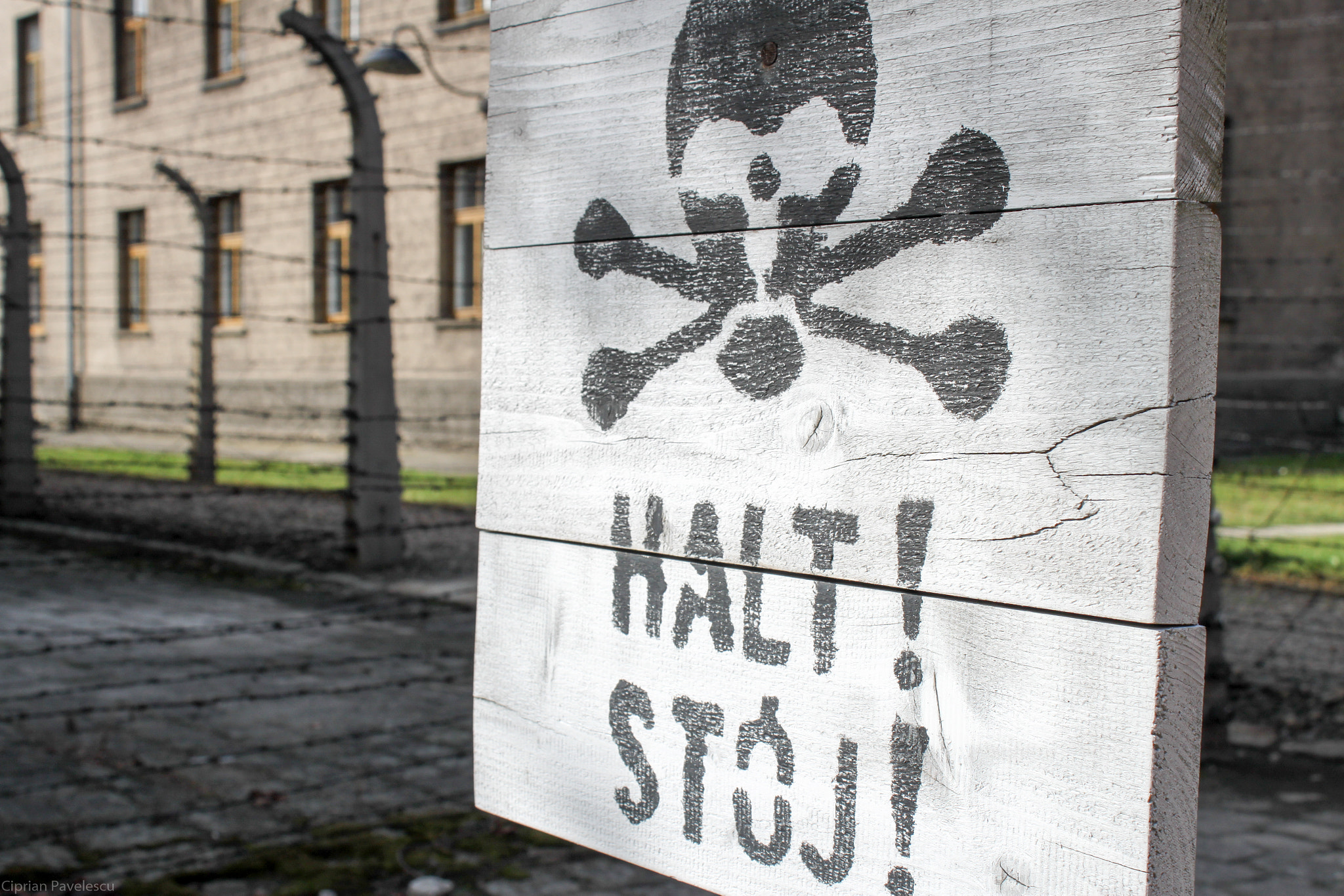 Canon EOS 500D (EOS Rebel T1i / EOS Kiss X3) sample photo. Auschwitz photography