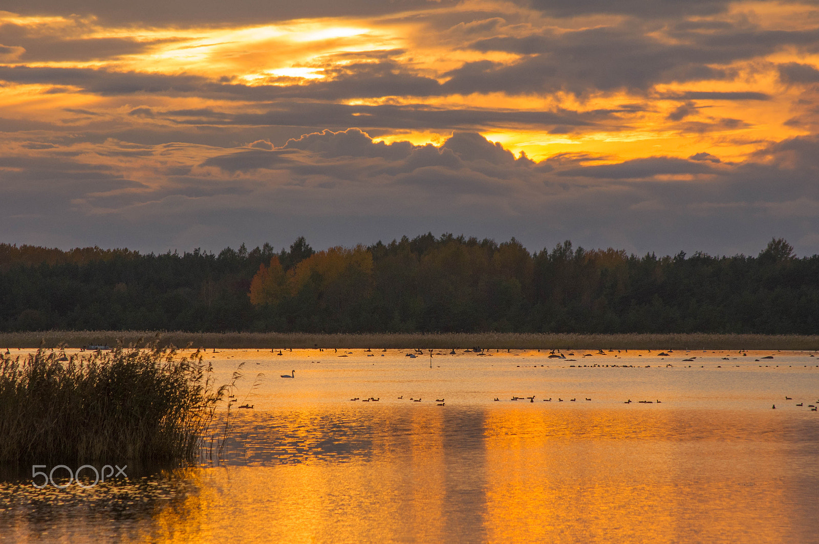 Pentax K-x sample photo. Signs of autumn photography