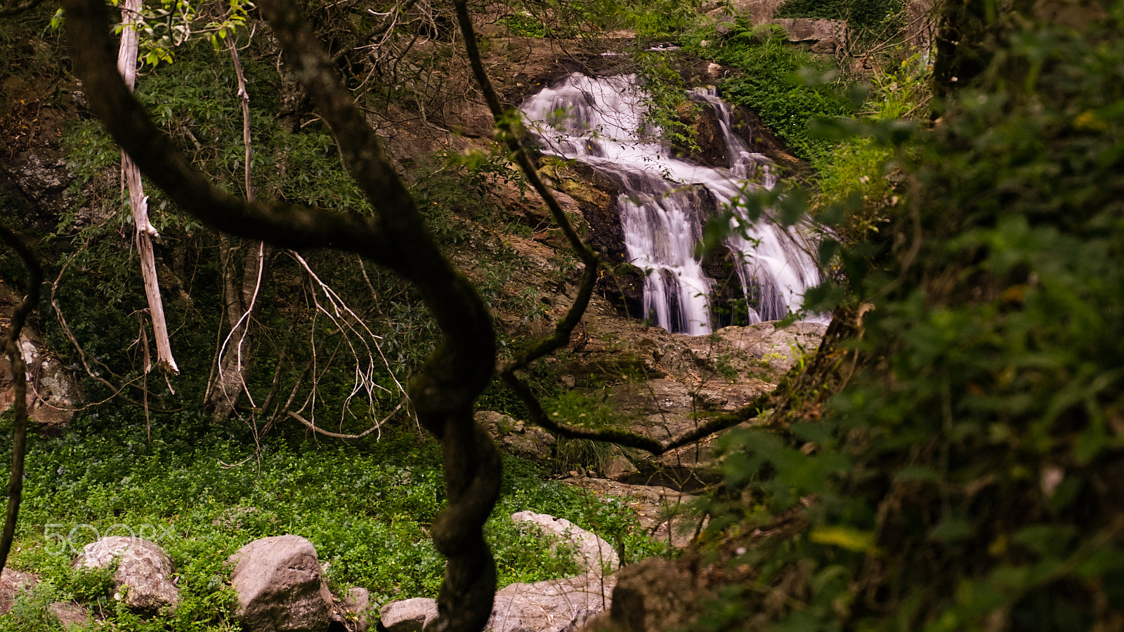 Tamron 16-300mm F3.5-6.3 Di II VC PZD Macro sample photo. 52. secret garden photography