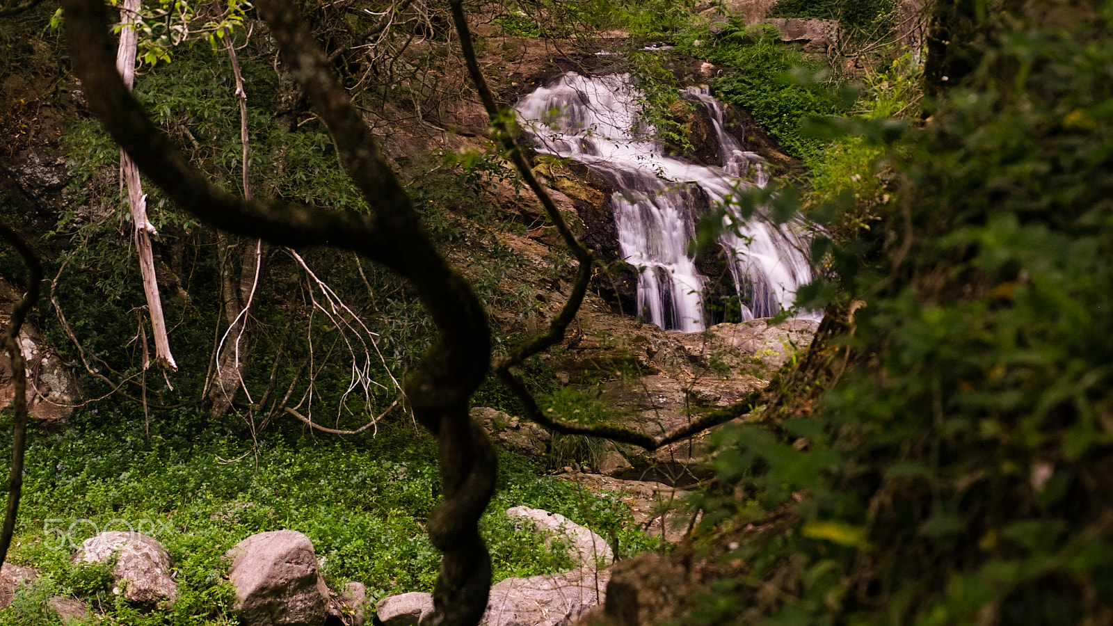 Sony a7 sample photo. 52. secret garden photography