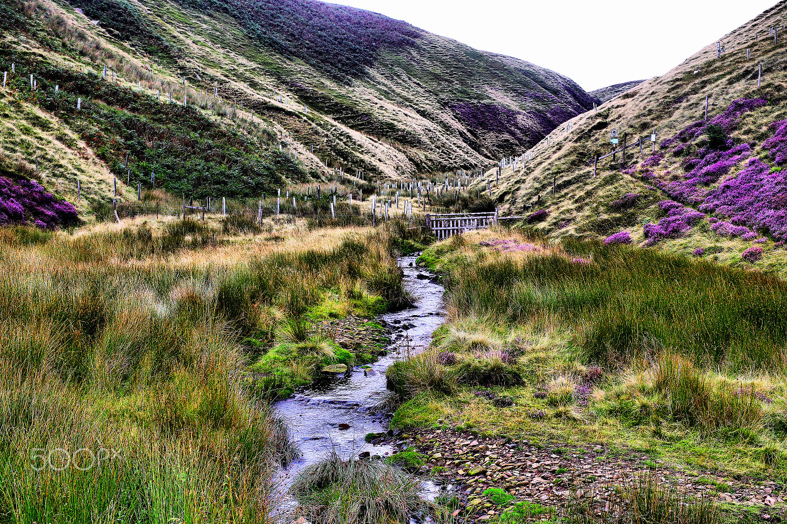 Canon 50mm sample photo. Peak district photography