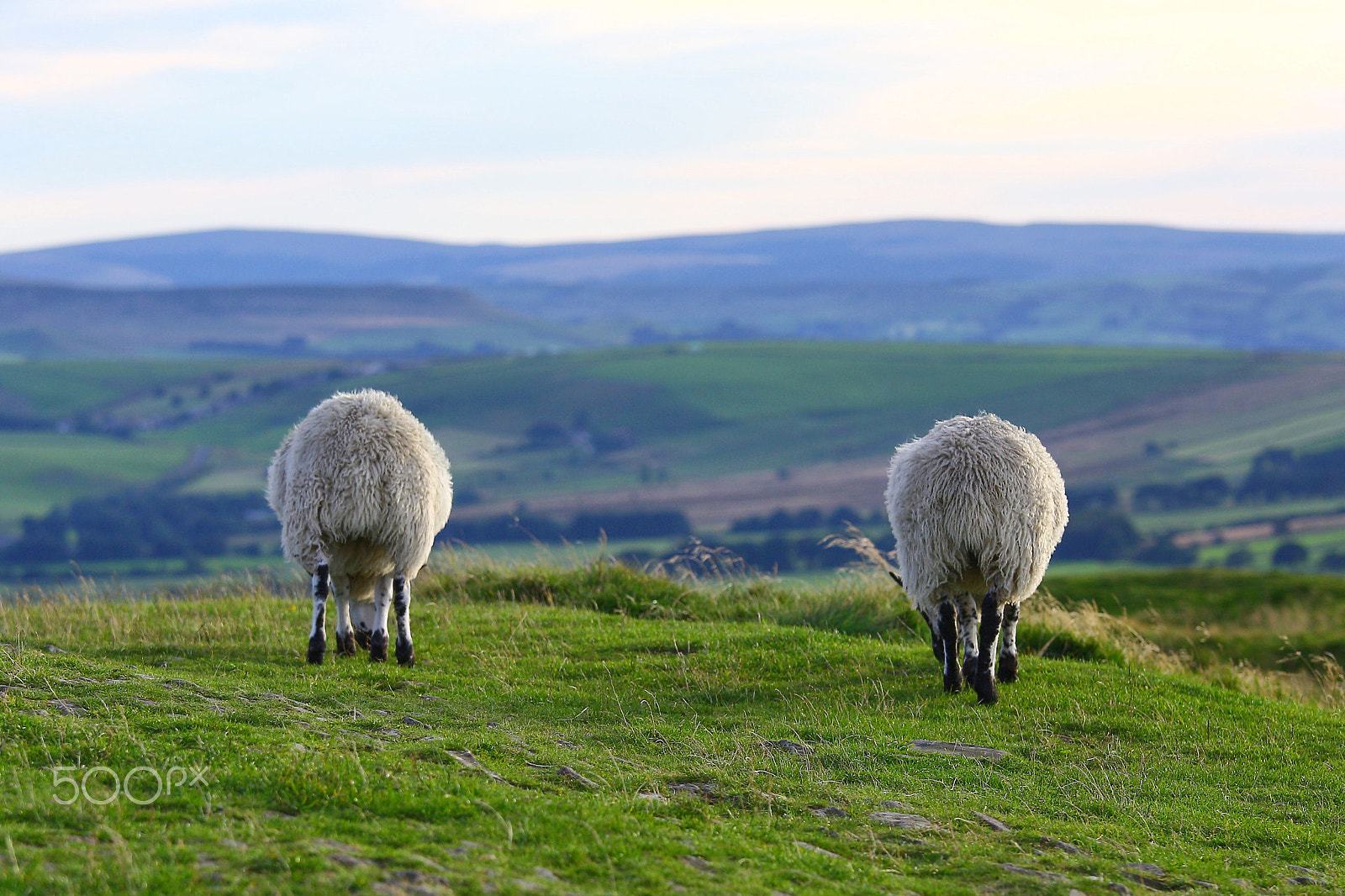 Canon EF 70-200mm F4L IS USM sample photo. Peak district photography