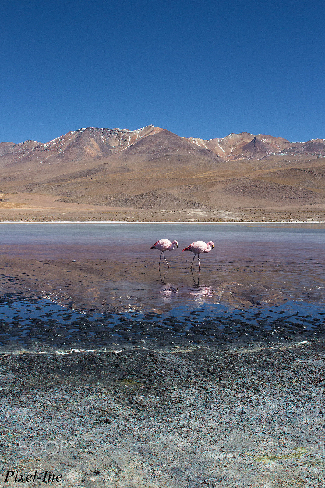 Canon EOS 600D (Rebel EOS T3i / EOS Kiss X5) + Sigma 24-70mm F2.8 EX DG Macro sample photo. "the twins", laguna cañapa, bolivie. photography
