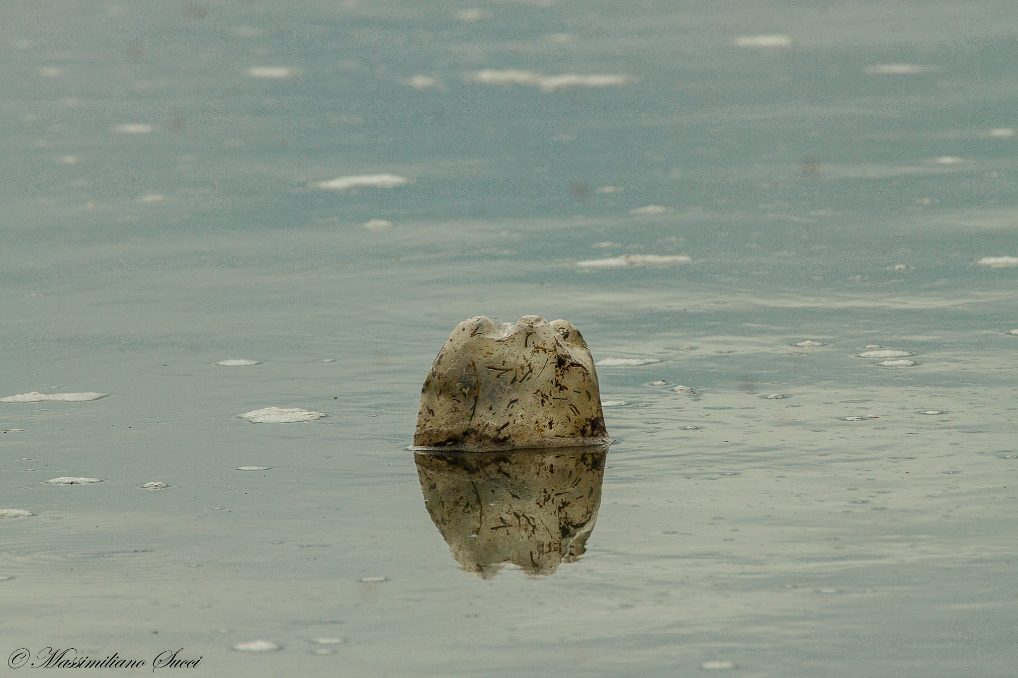 150-600mm F5-6.3 DG OS HSM | Contemporary 015 sample photo. Rudeness kills life photography