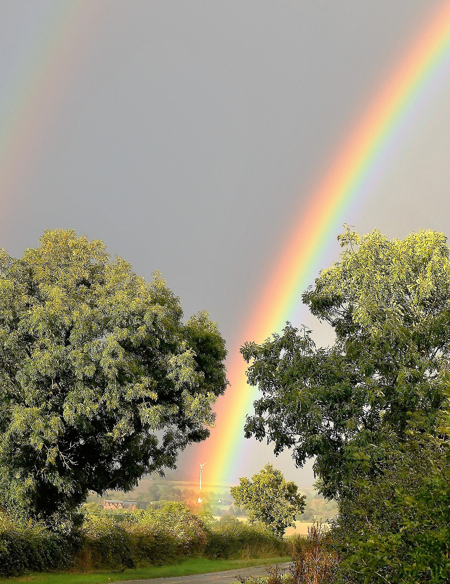 Nikon AF-S DX Micro Nikkor 40mm F2.8 sample photo. Rainbow discovery photography