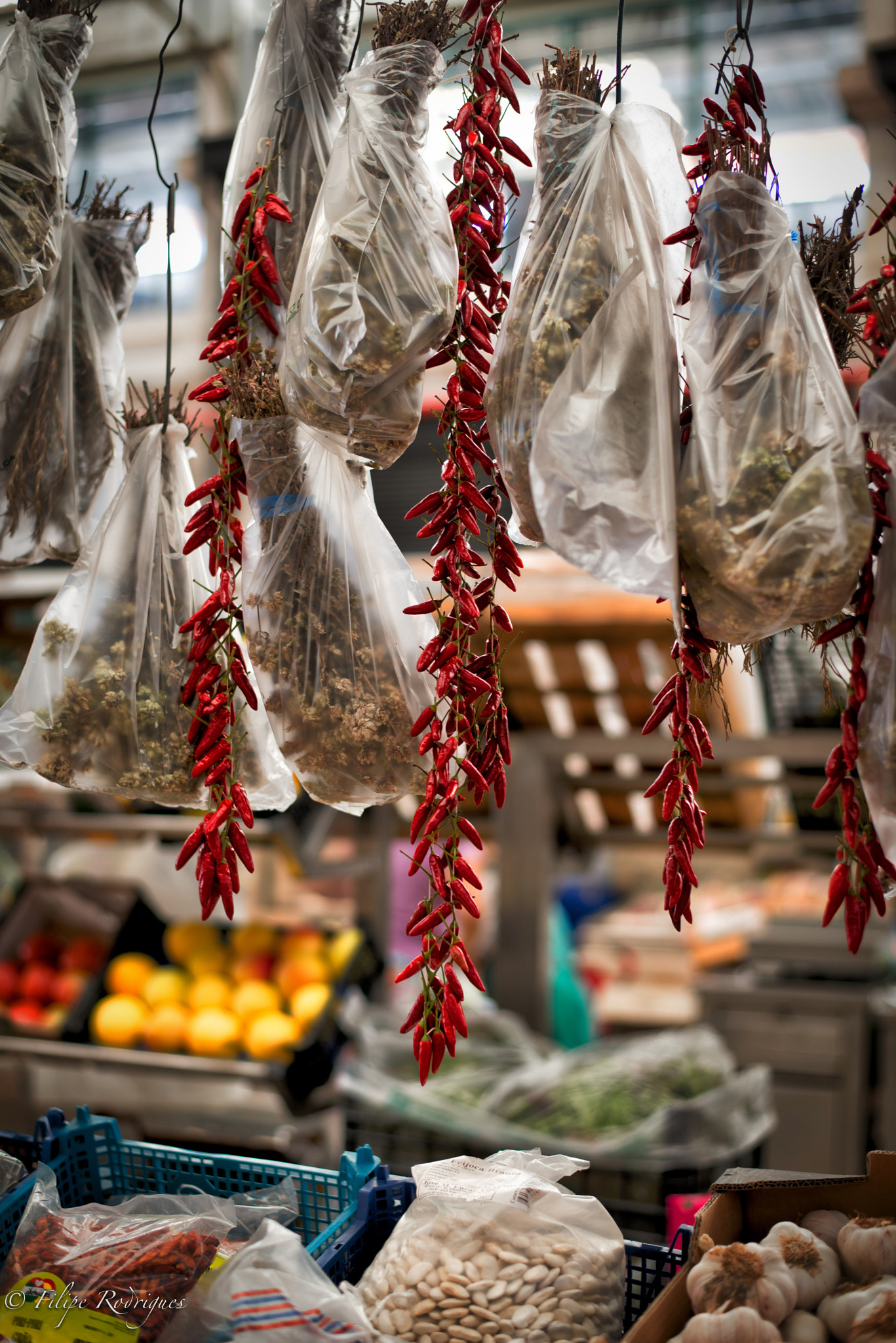Nikon D800E + Nikon AF-S Nikkor 50mm F1.8G sample photo. Morning shopping at mercado da ribeira photography