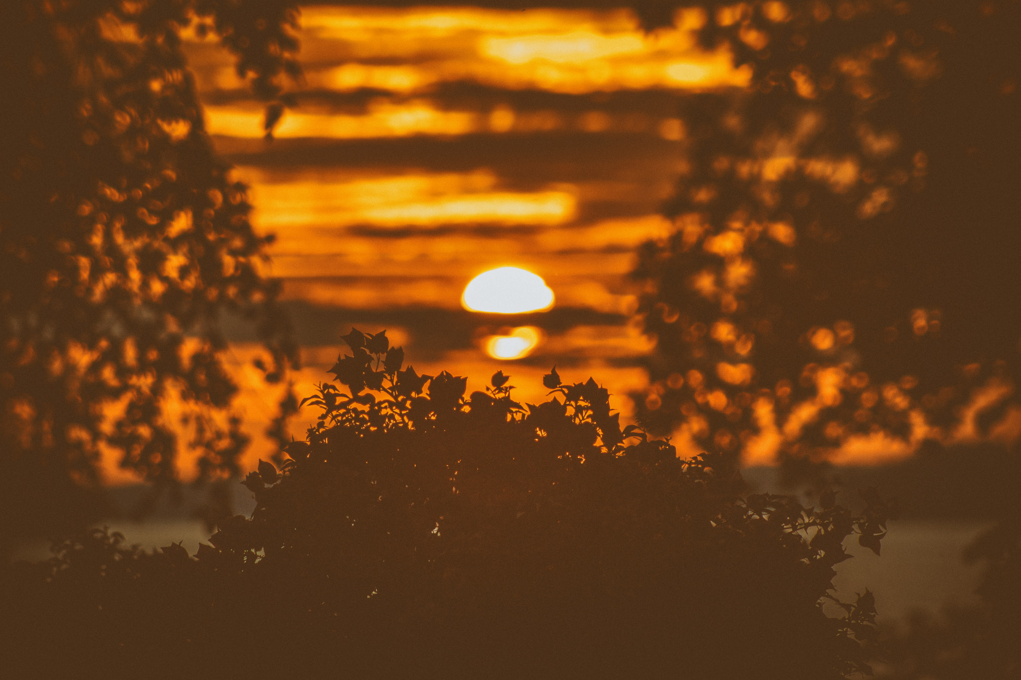 Canon EOS 750D (EOS Rebel T6i / EOS Kiss X8i) + EF75-300mm f/4-5.6 sample photo. Edit photography