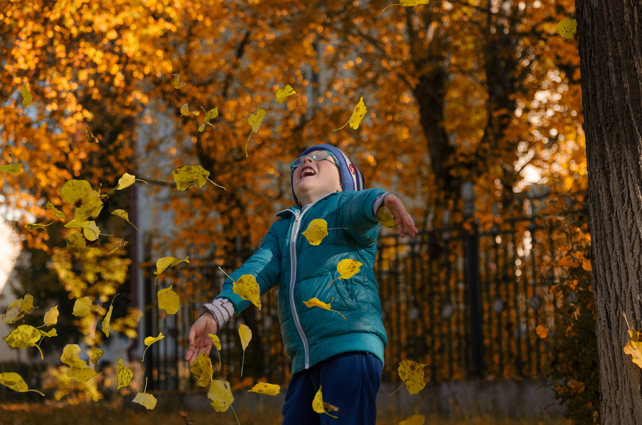 Nikon D7000 + AF Nikkor 70-210mm f/4-5.6 sample photo. Autumn day photography